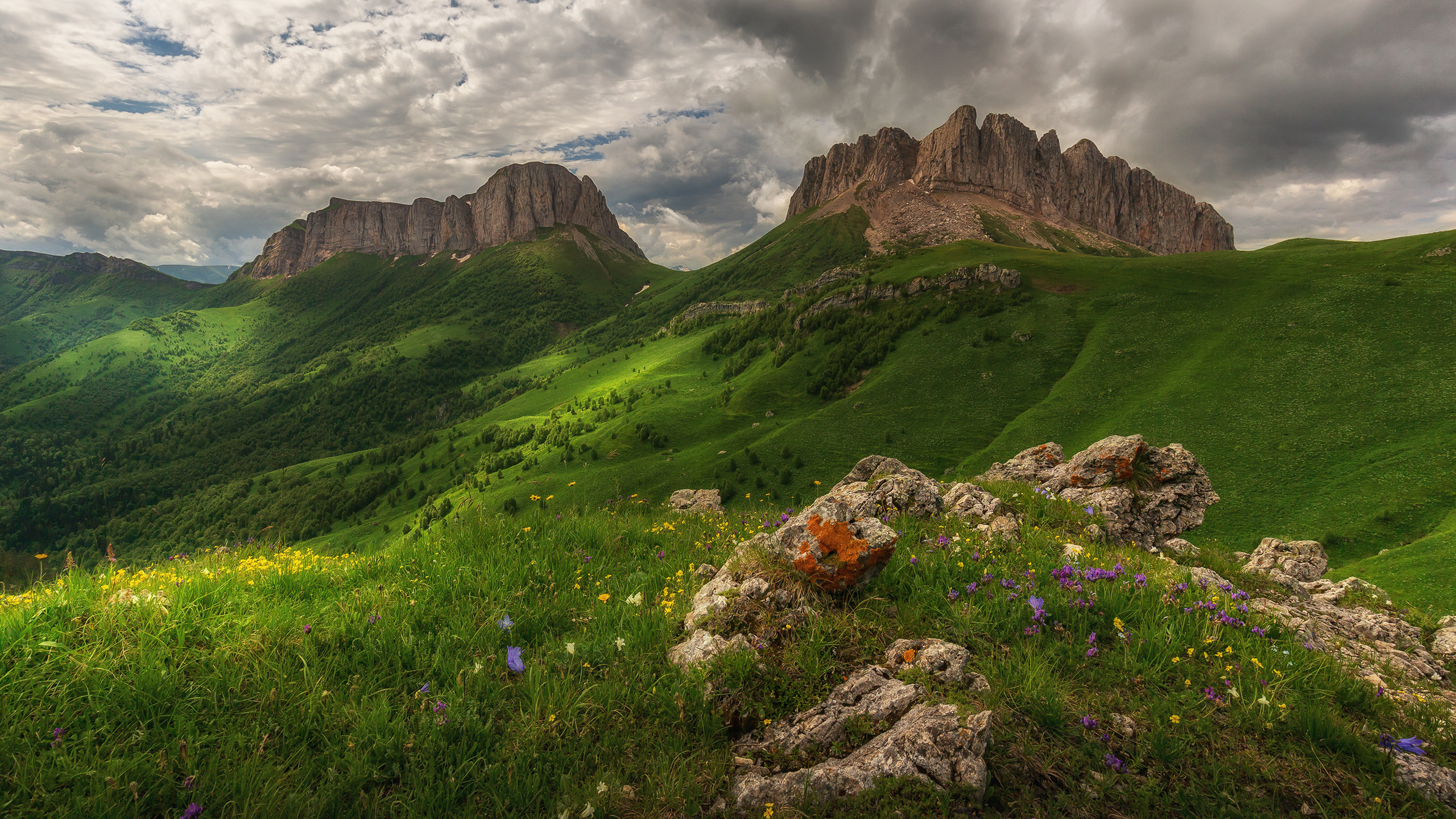 В ожидании дождя. Республика Адыгея, июнь 2018 год.
