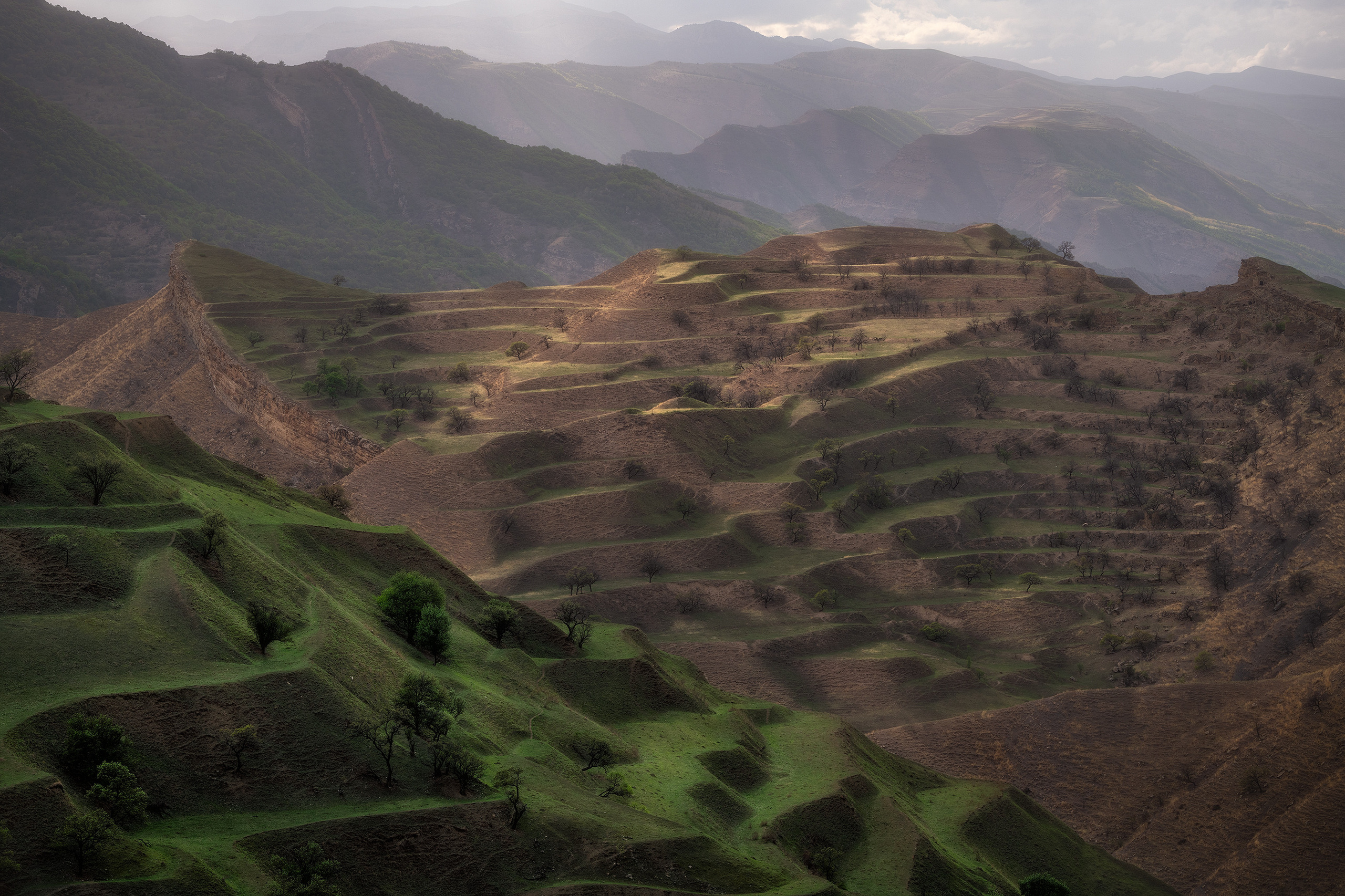 Террасы Дагестана