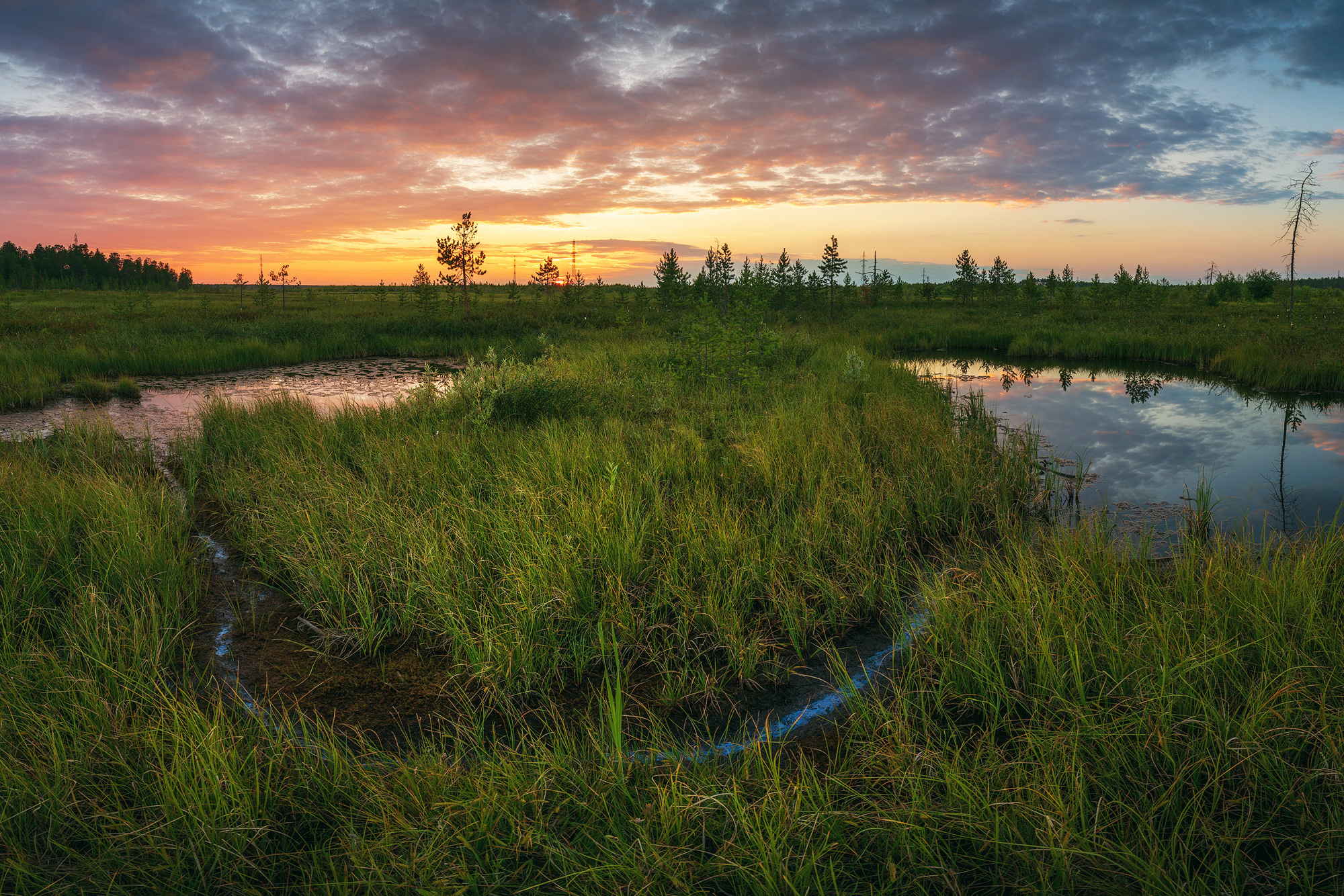 Закат на болотах ЯНАО, город Ноябрьск
