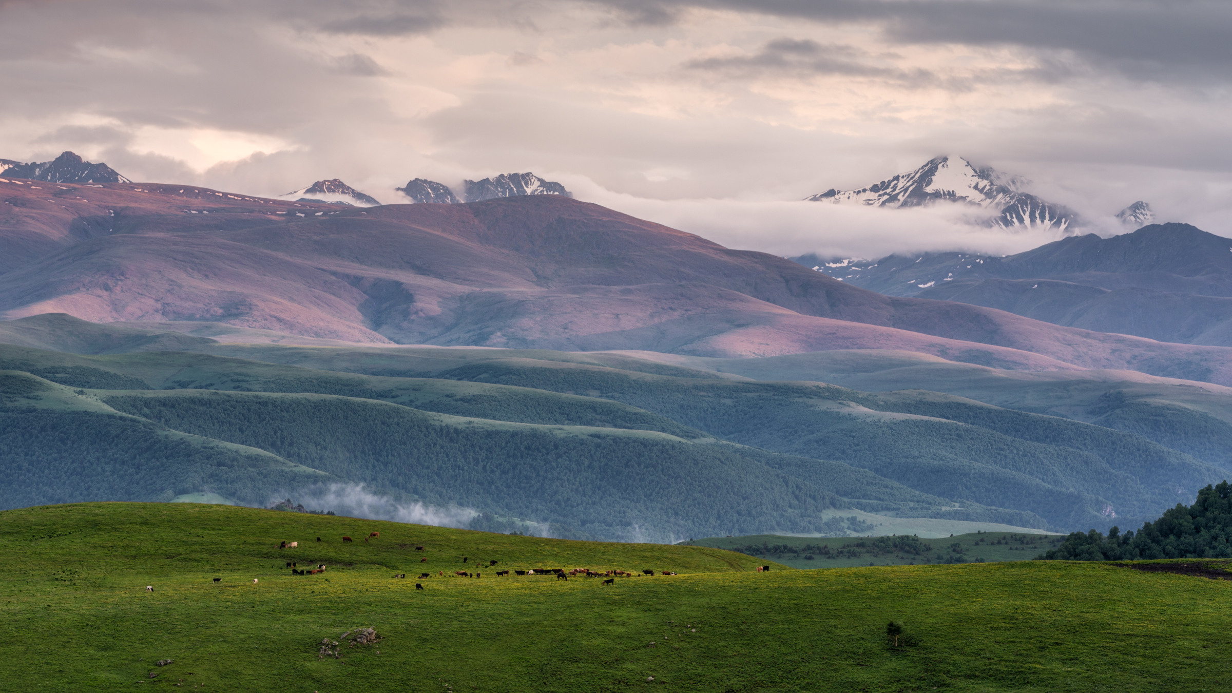 Предзакатная. Возвращаясь с Джилы-Су мы уже и не надеялись, что дождь прекратится, а тучи разойдутся и все окрасится в краски заката. Но прямо перед закатом, свершилось чудо и прямо как под заказ перестал идти дождь, и мы только успевали ловить прекрасные кадры. Россия, Кабардино-Балкарская Республика, Зольский район, июнь 2019 год.