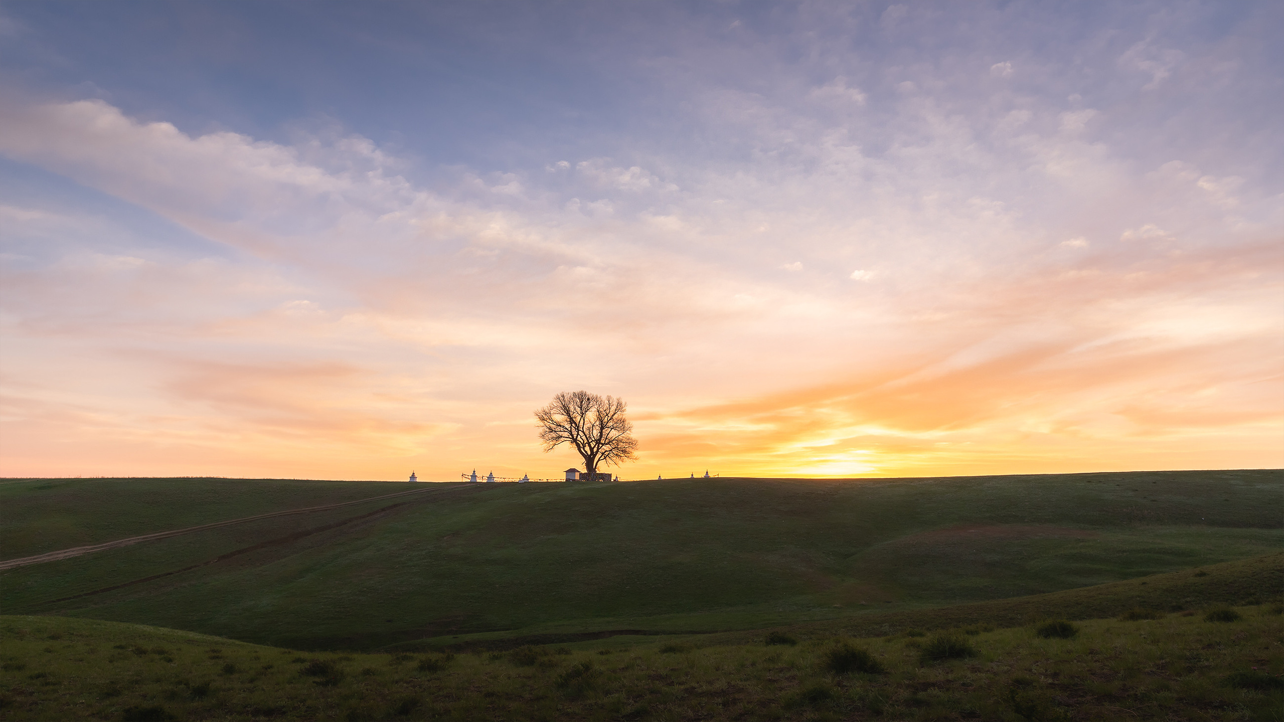 Одинокий тополь высаженный буддийским монахом по имени Багдохна Хурлын Пурдаш Лам в 1846 году