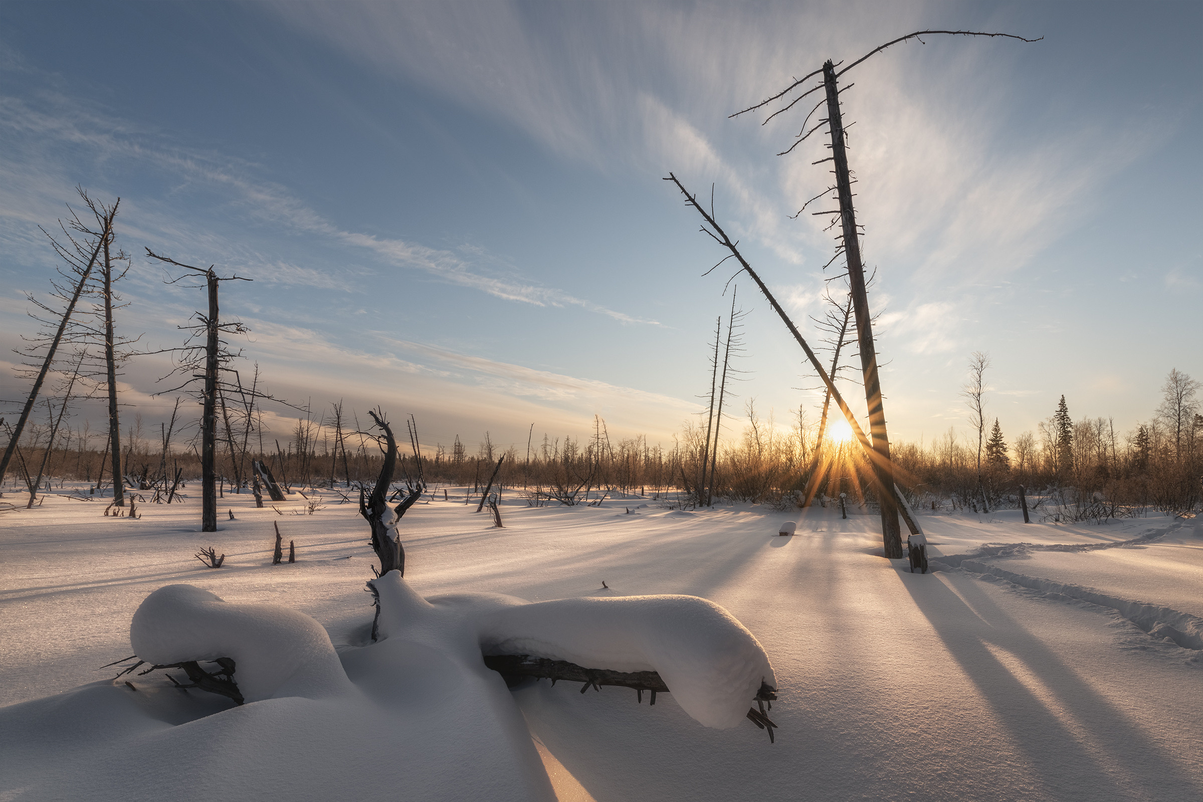 Заснеженные болота Ноябрьска