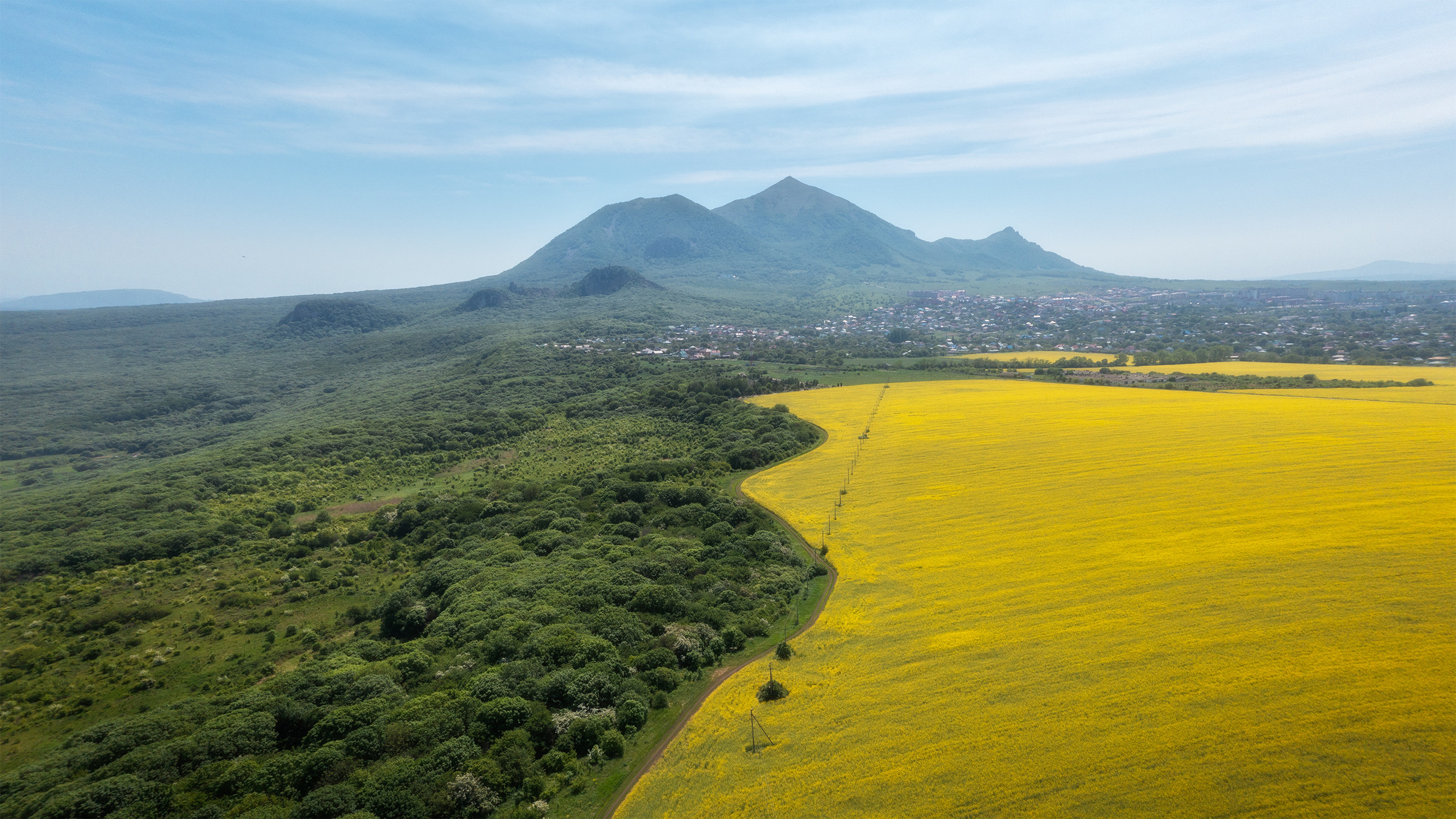 Цветущие поля рапса на фоне Бештау