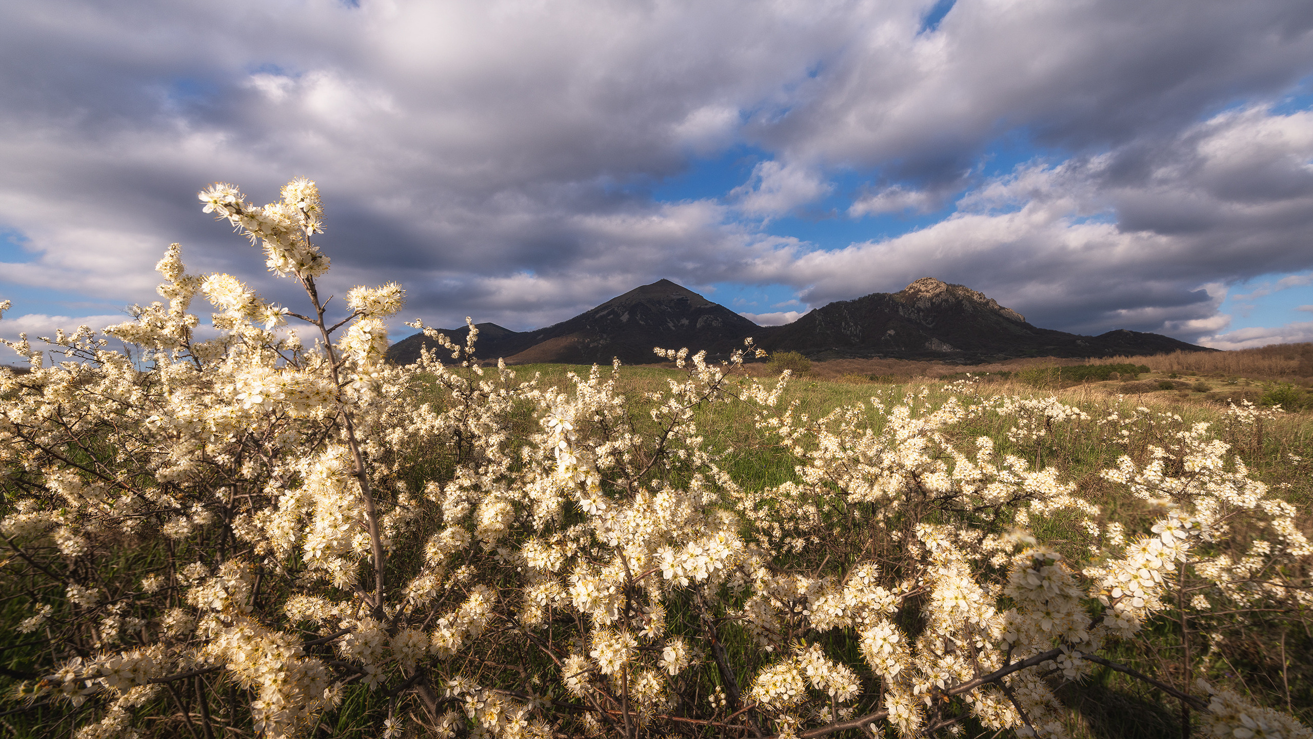Гора Бештау