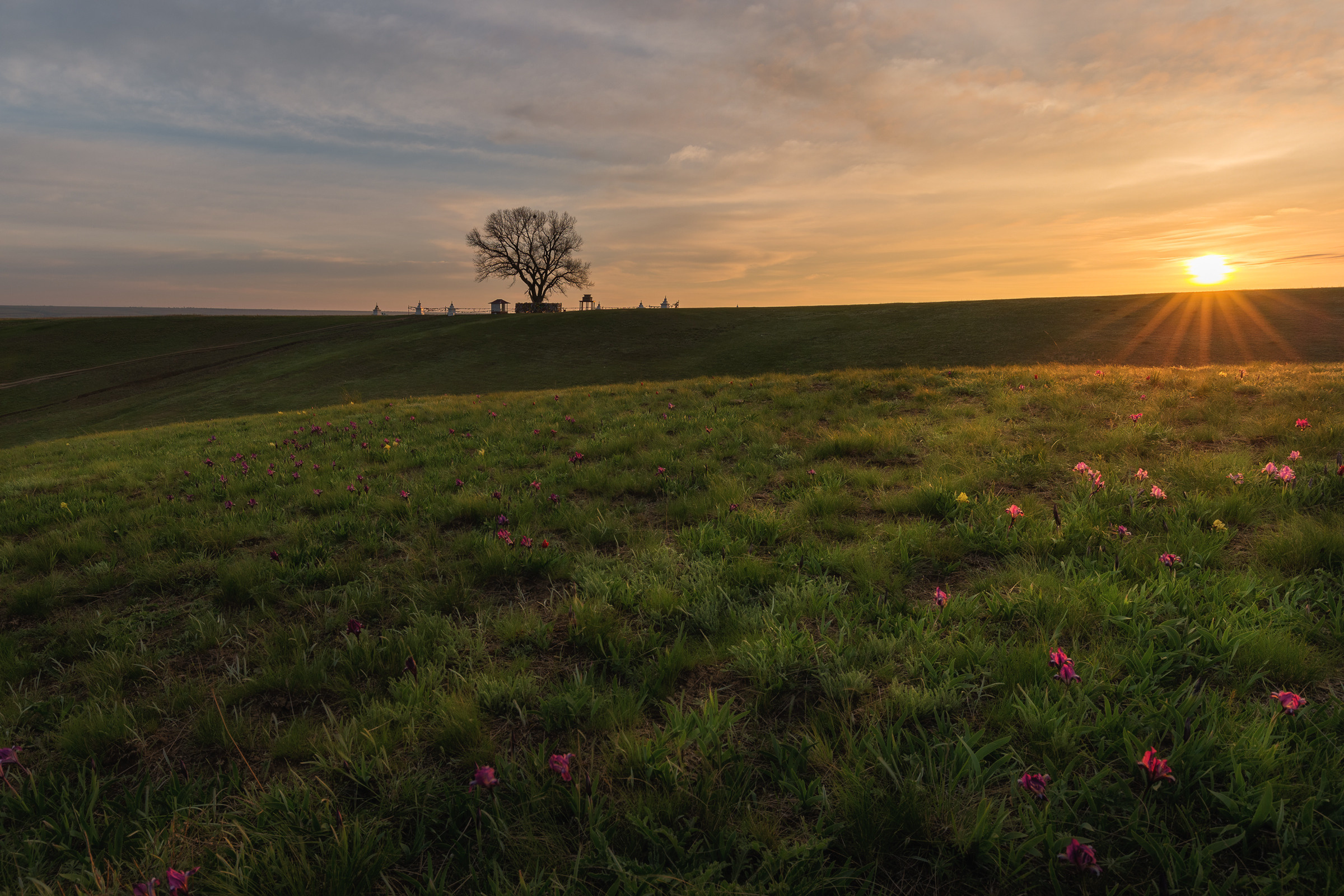 Рассвет в степях Калмыкии. 