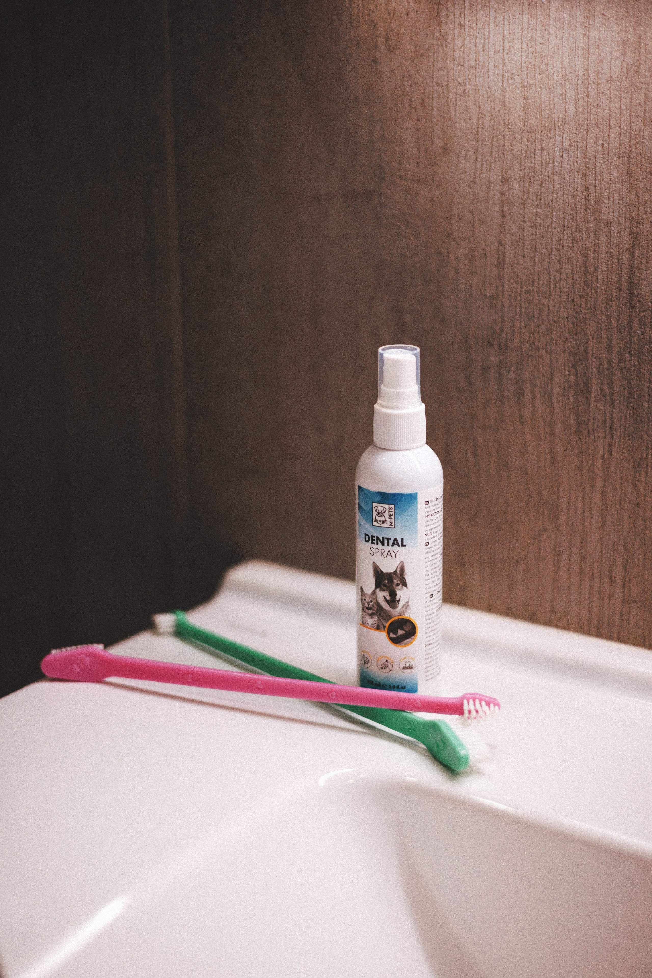 M-Pets. Фотограф анималист Осипчикова Мария