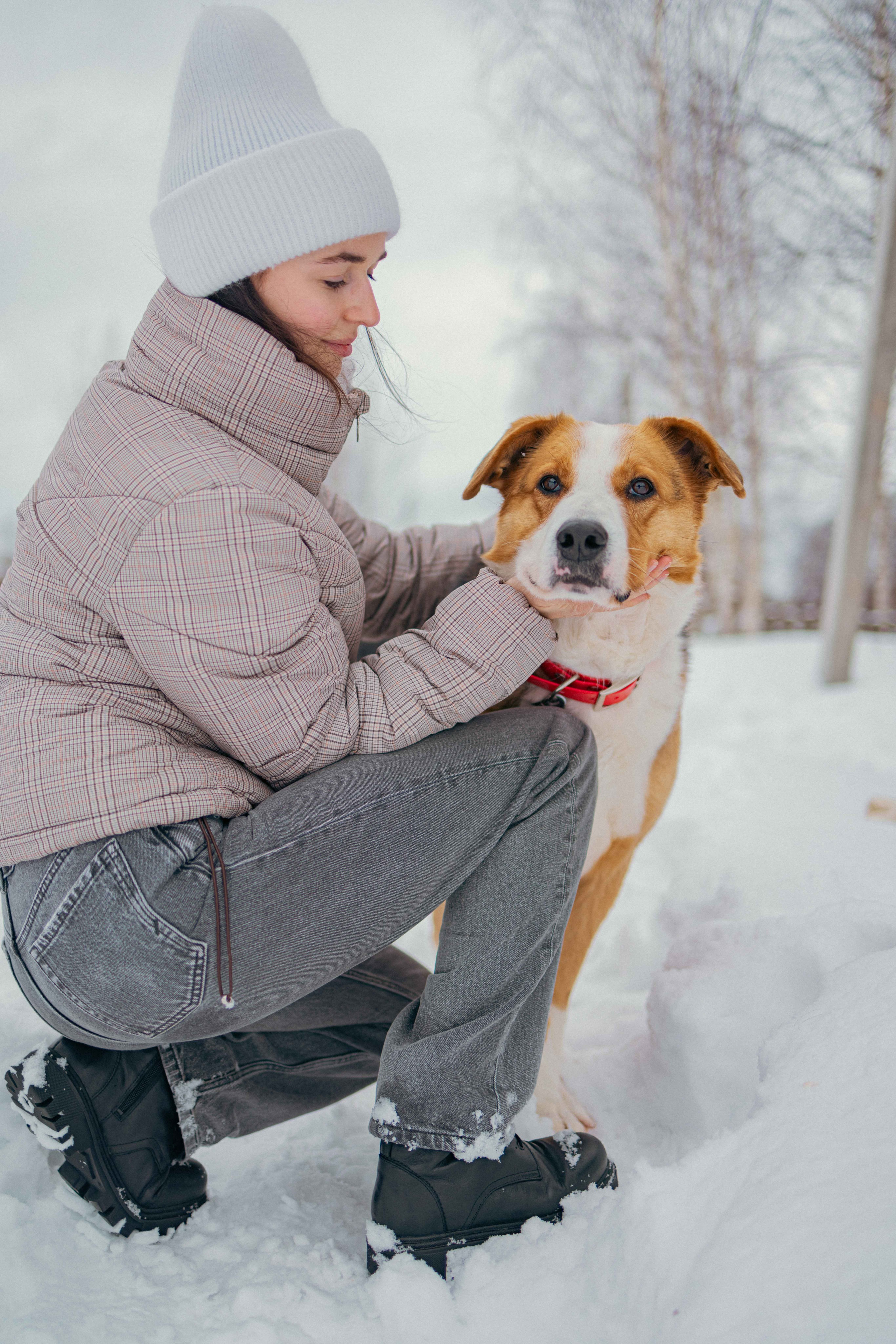 Петя. Фотограф-анималист в Москве Лера Черноног