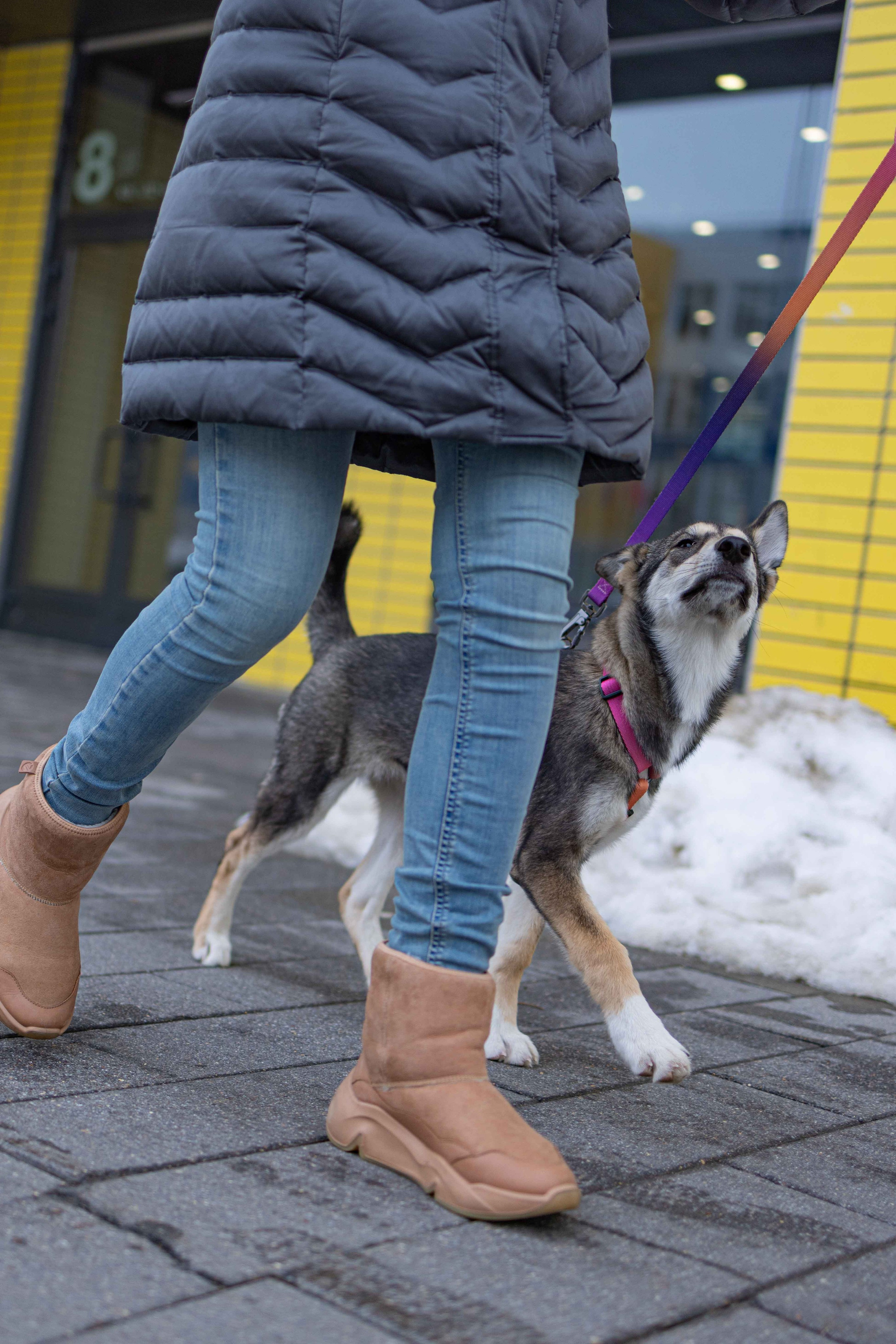 Шами. Фотограф-анималист в Москве Лера Черноног