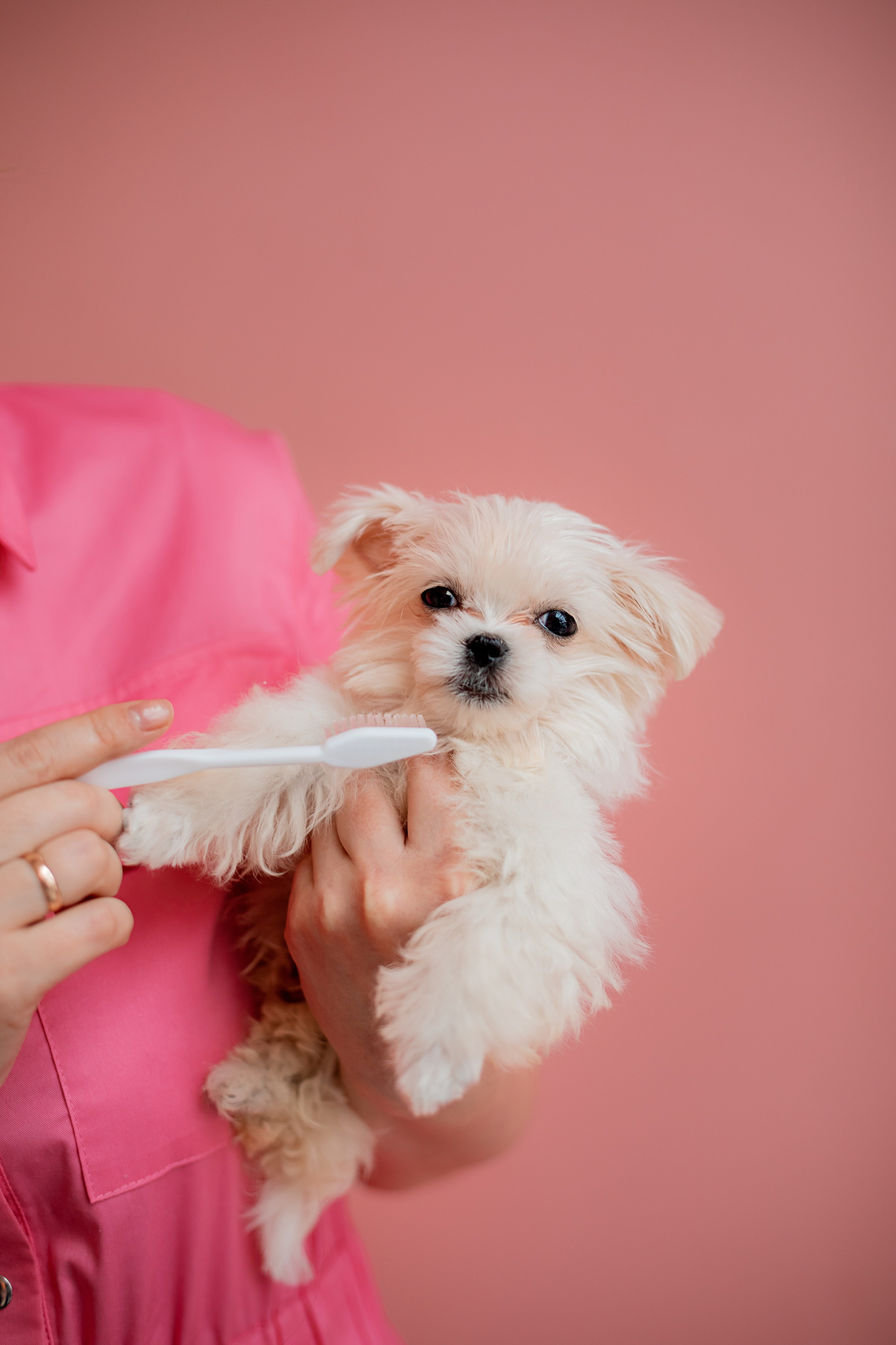 КОНТЕНТ. Семейный фотограф в Москве выпускные альбомы Клюковская Надежда