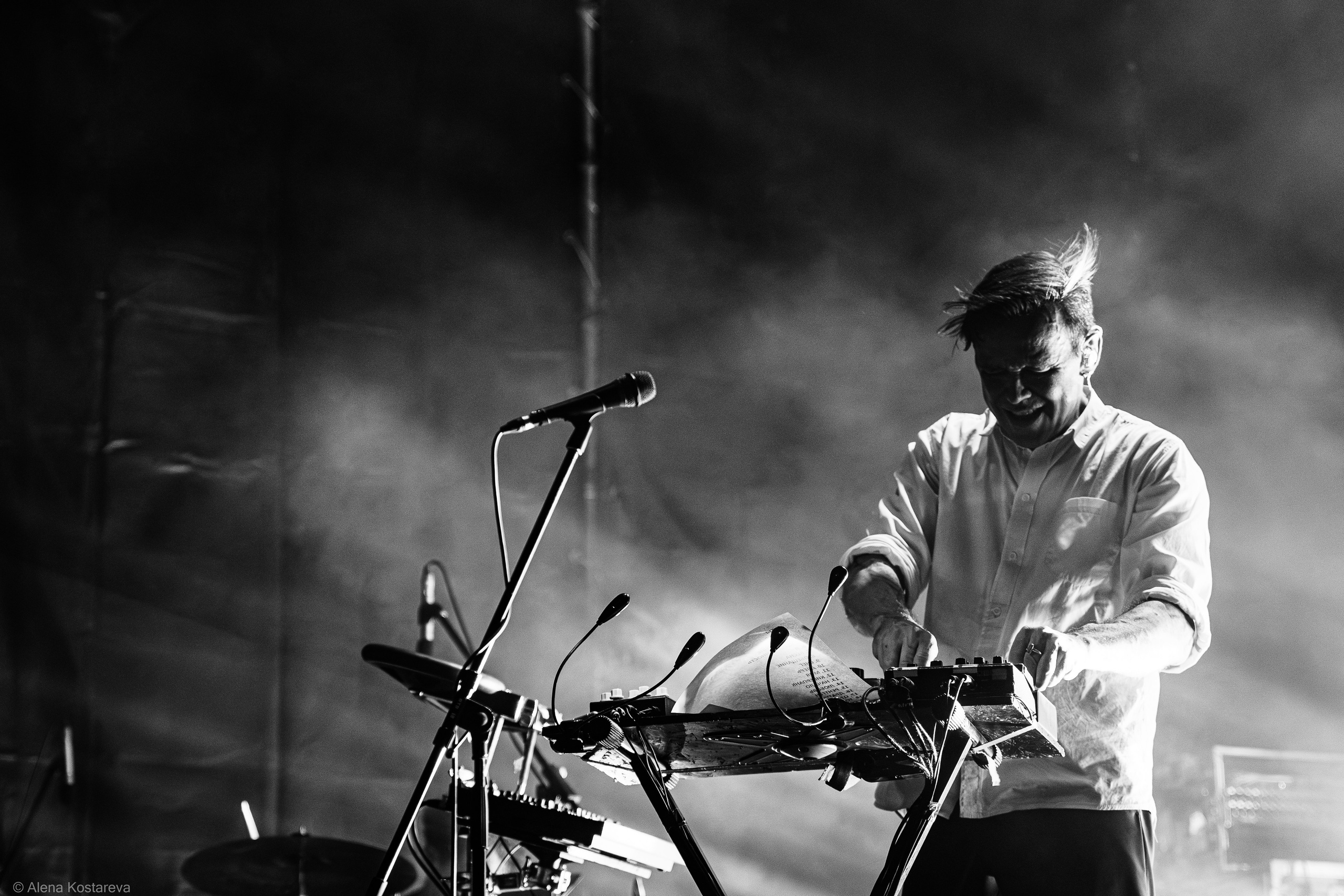 Dolphin. Алена Костарева. Фотограф в Ростове-на-Дону