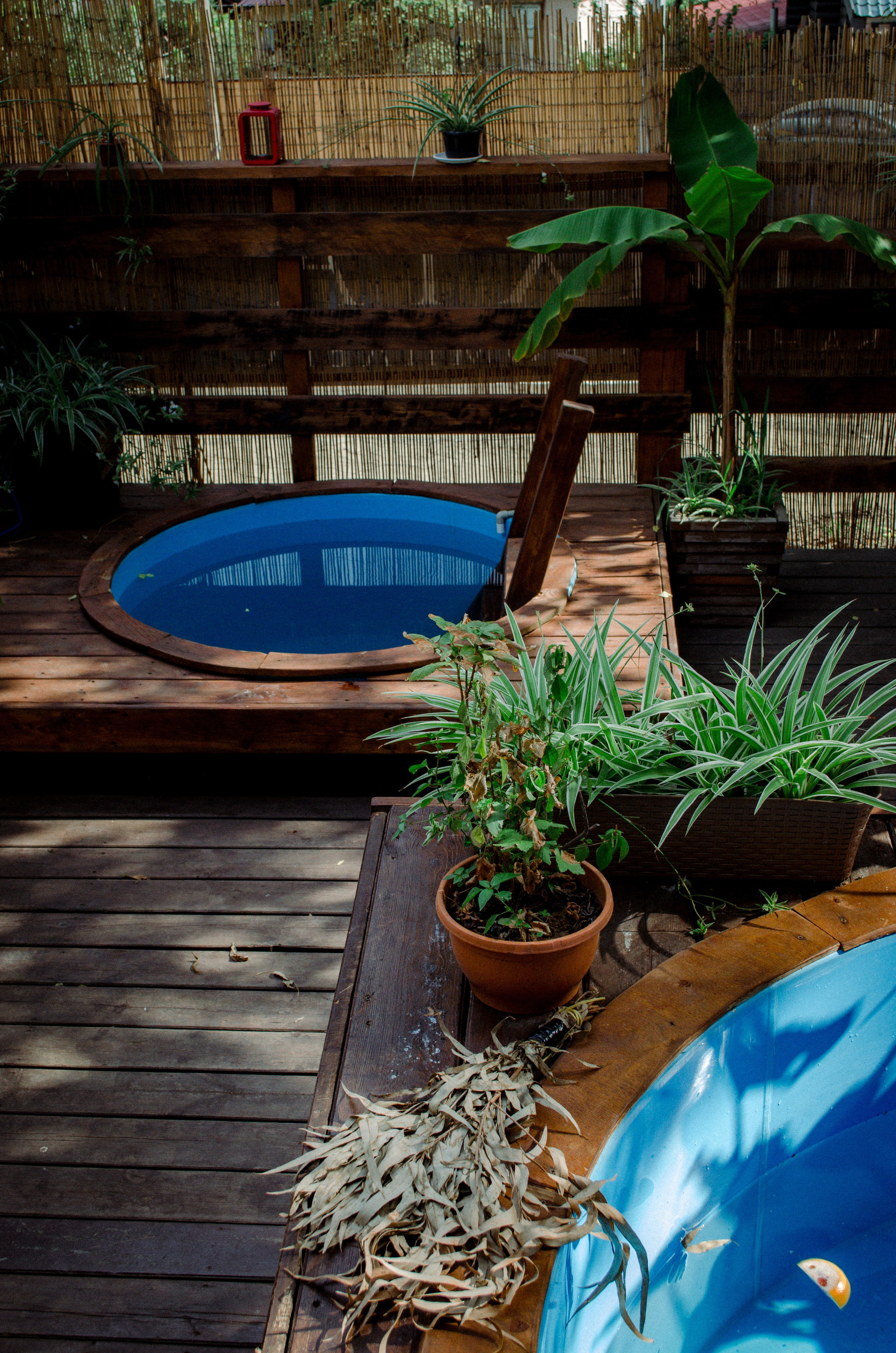 Банный комплекс Пихта. Фотограф