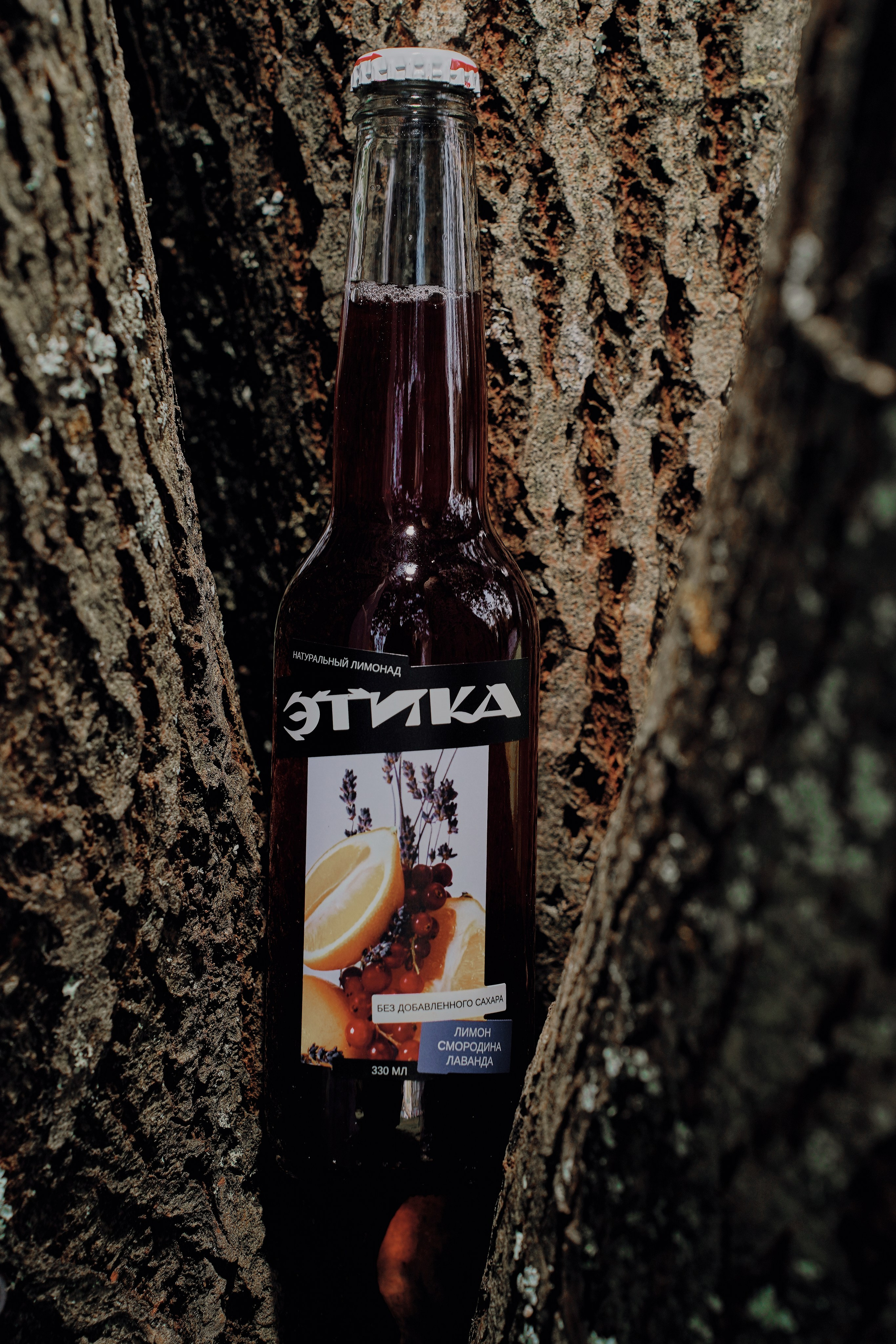 SLAVIC PARTY. Фотограф