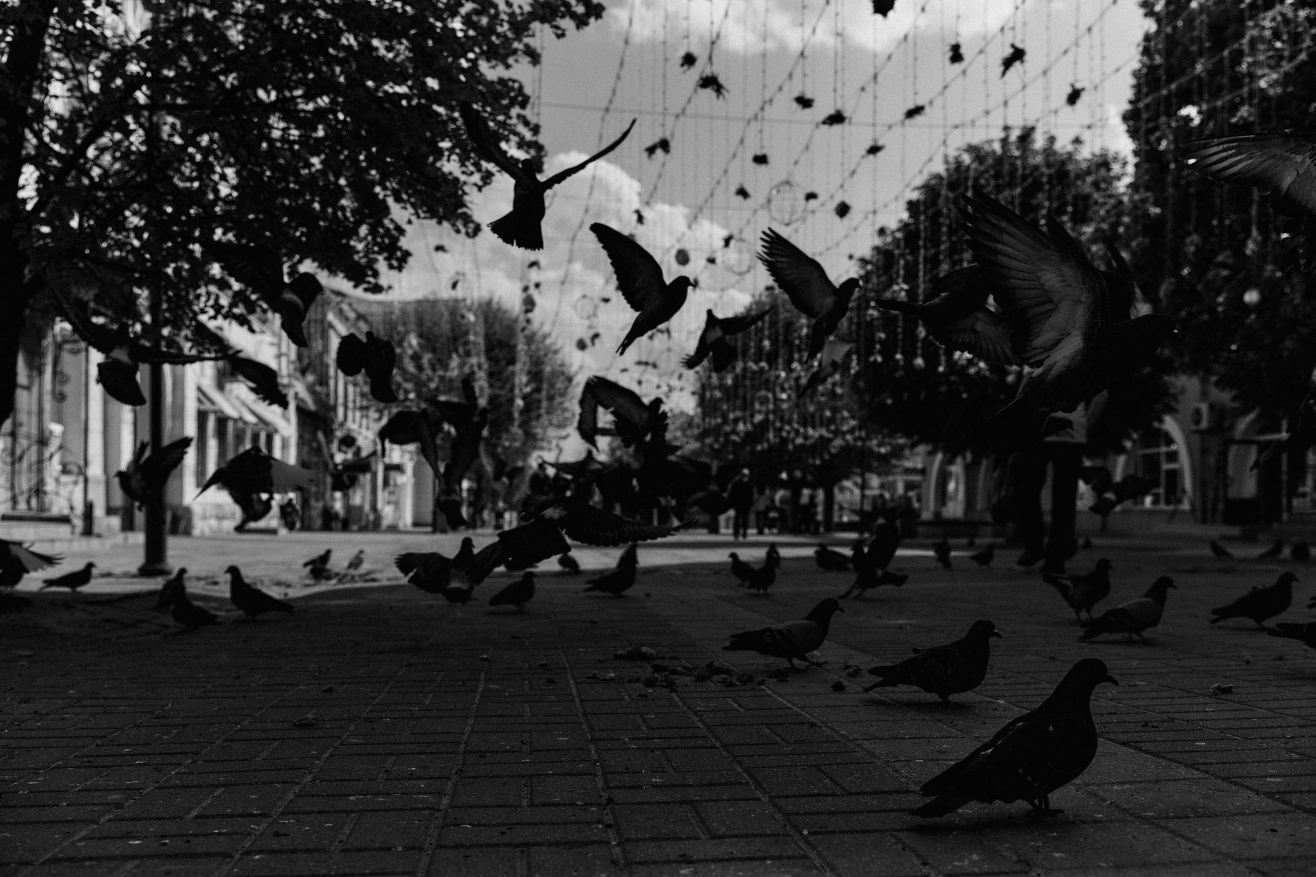 BAON x Кудыкина Гора. Фотограф Сурков Никита