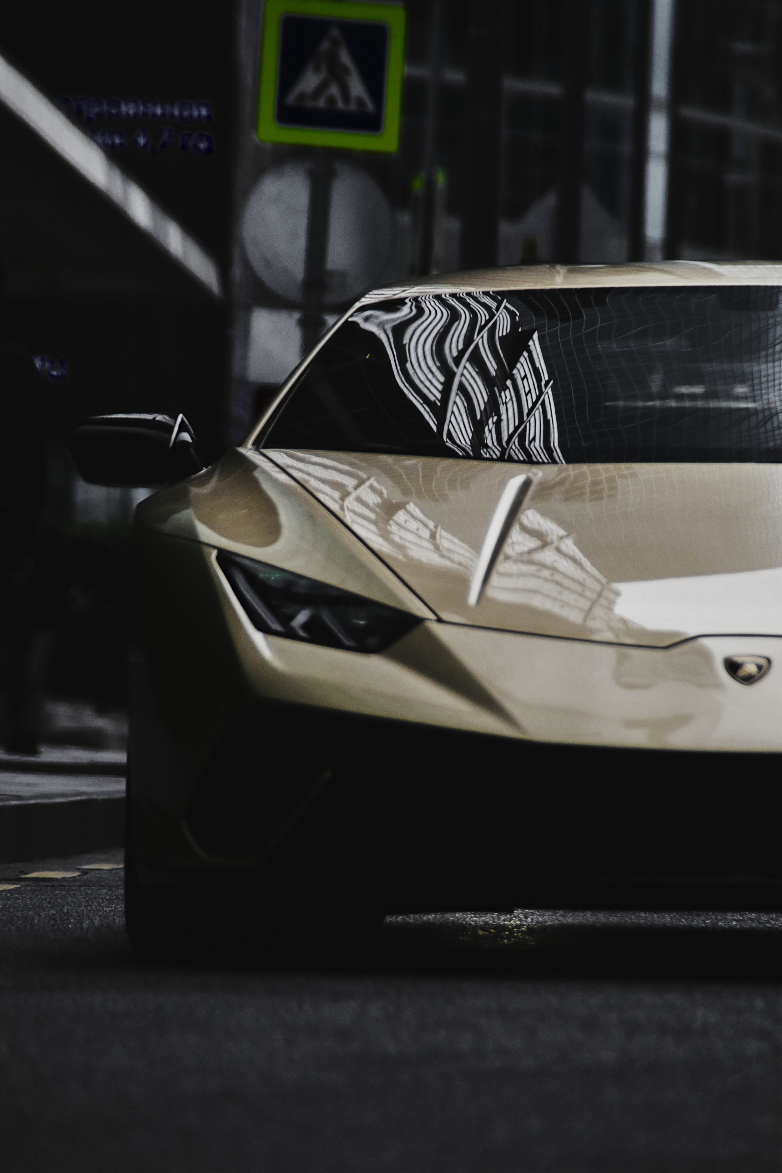 Lambo. Фотограф Александр Рауш