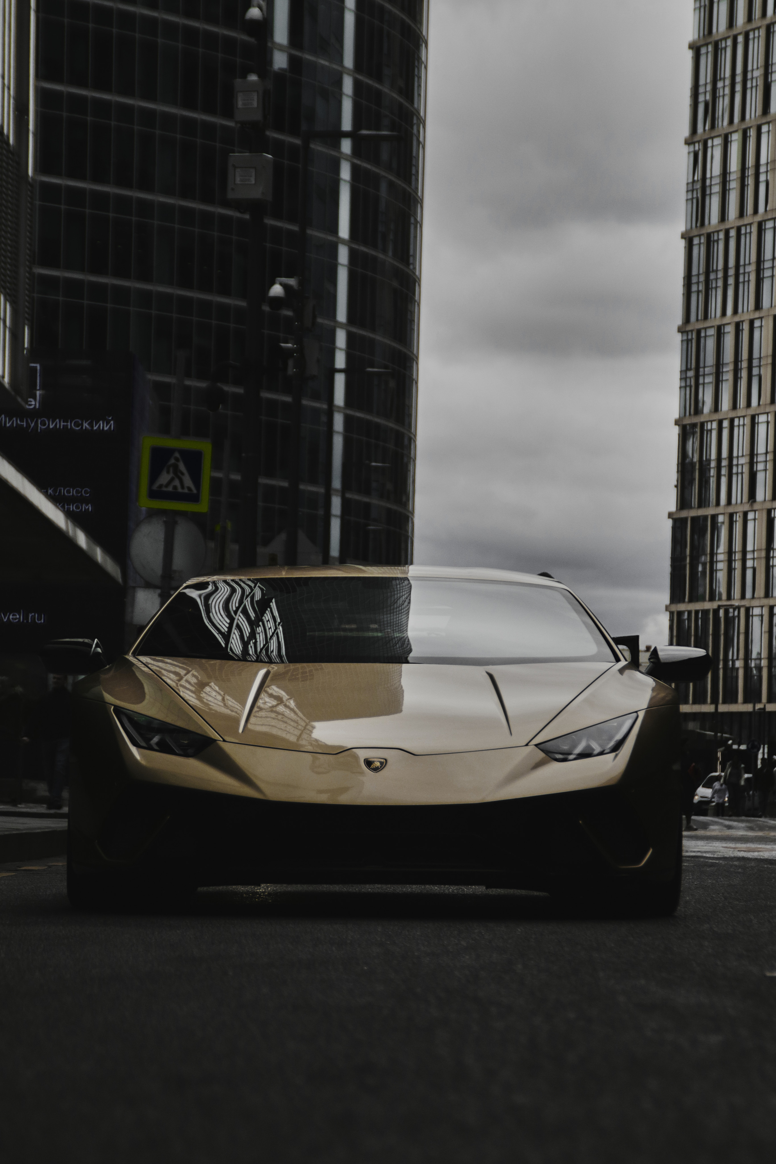 Lambo. Фотограф Александр Рауш