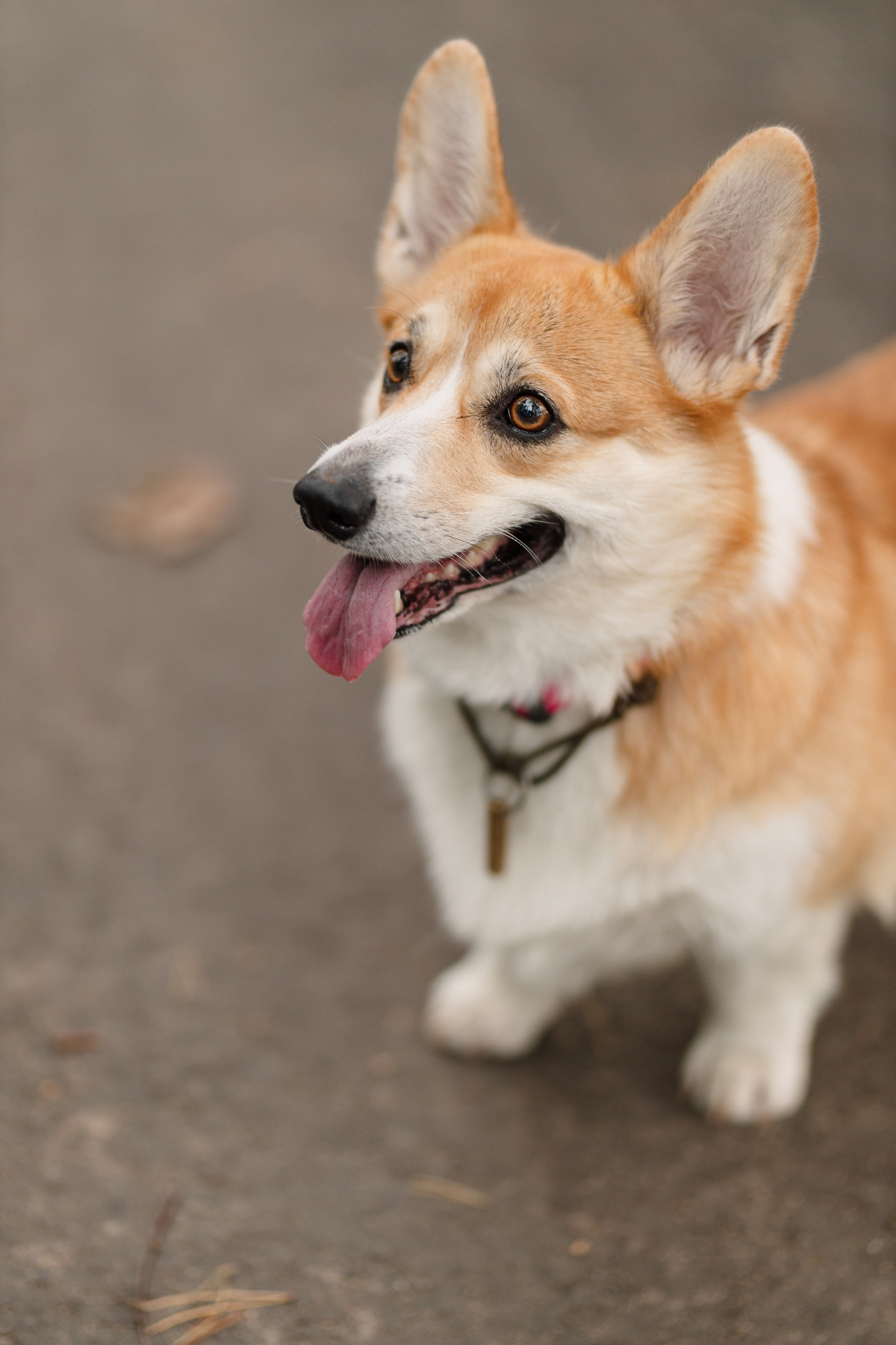 МОРЕ. Cheta Kovalevsky фотографы