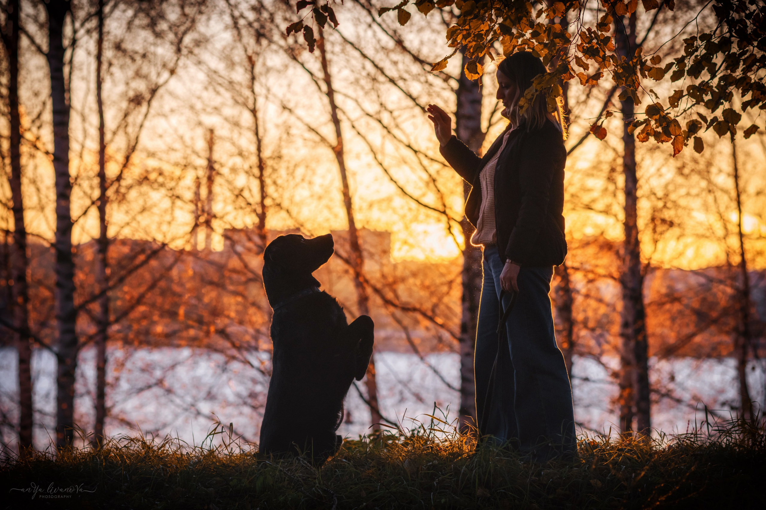 Оскар и его семья в парке. Фотограф анималист Аня Ливанова | Рыбинск