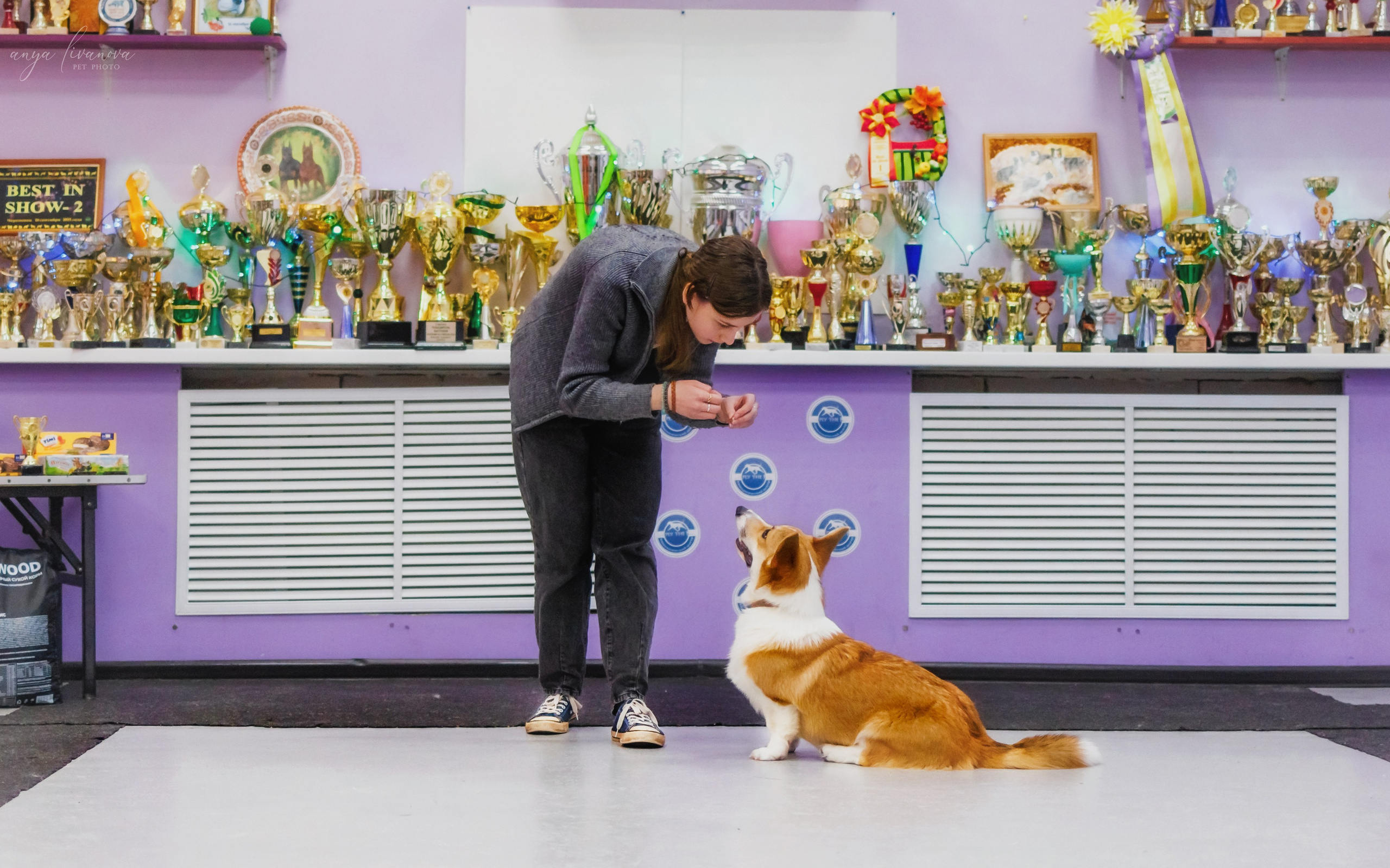 НГ конкурсы в «Simply the Best». Фотограф анималист Аня Ливанова | Рыбинск