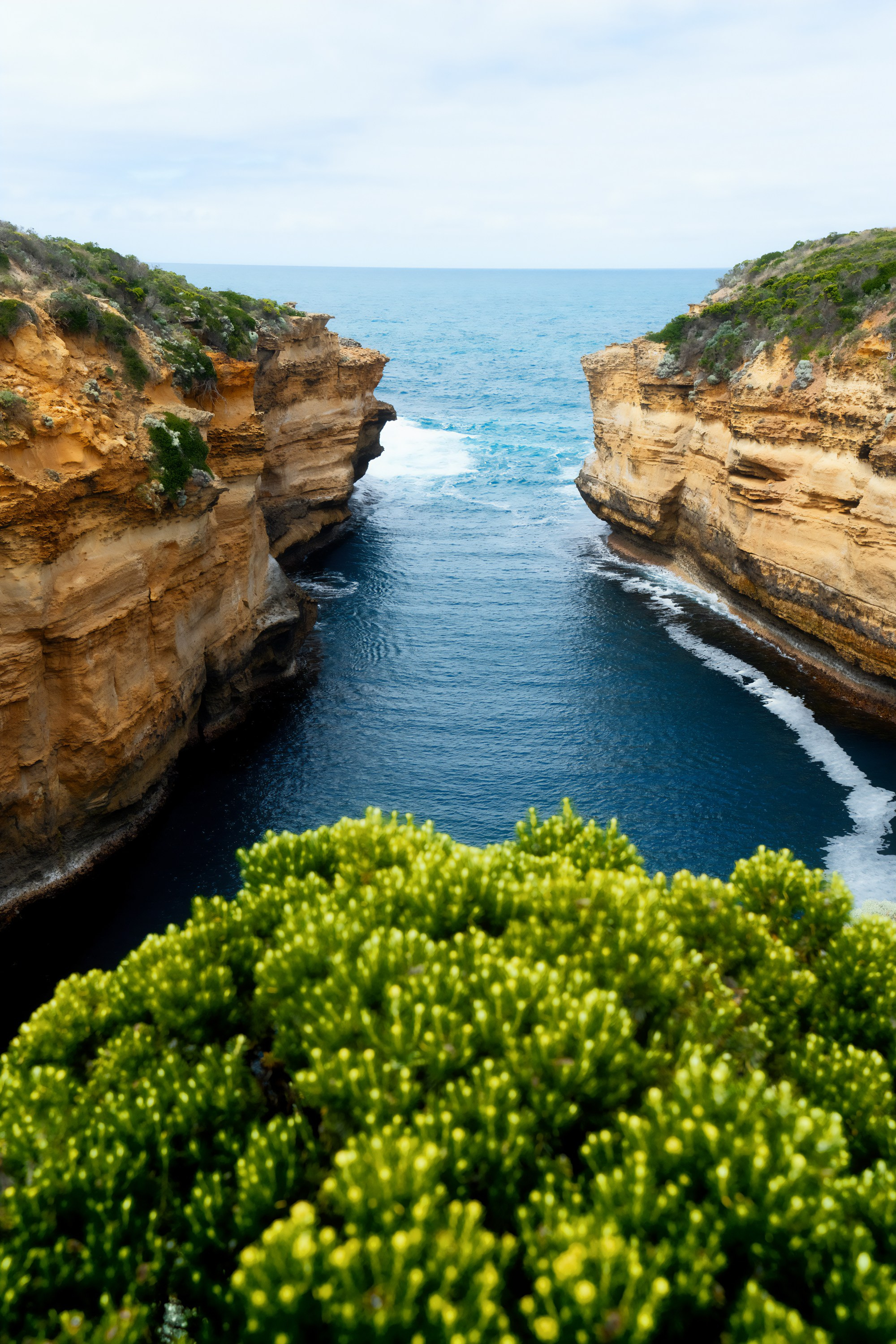 Австралия. Фотограф в Хабаровске. Фотография за 24 часа