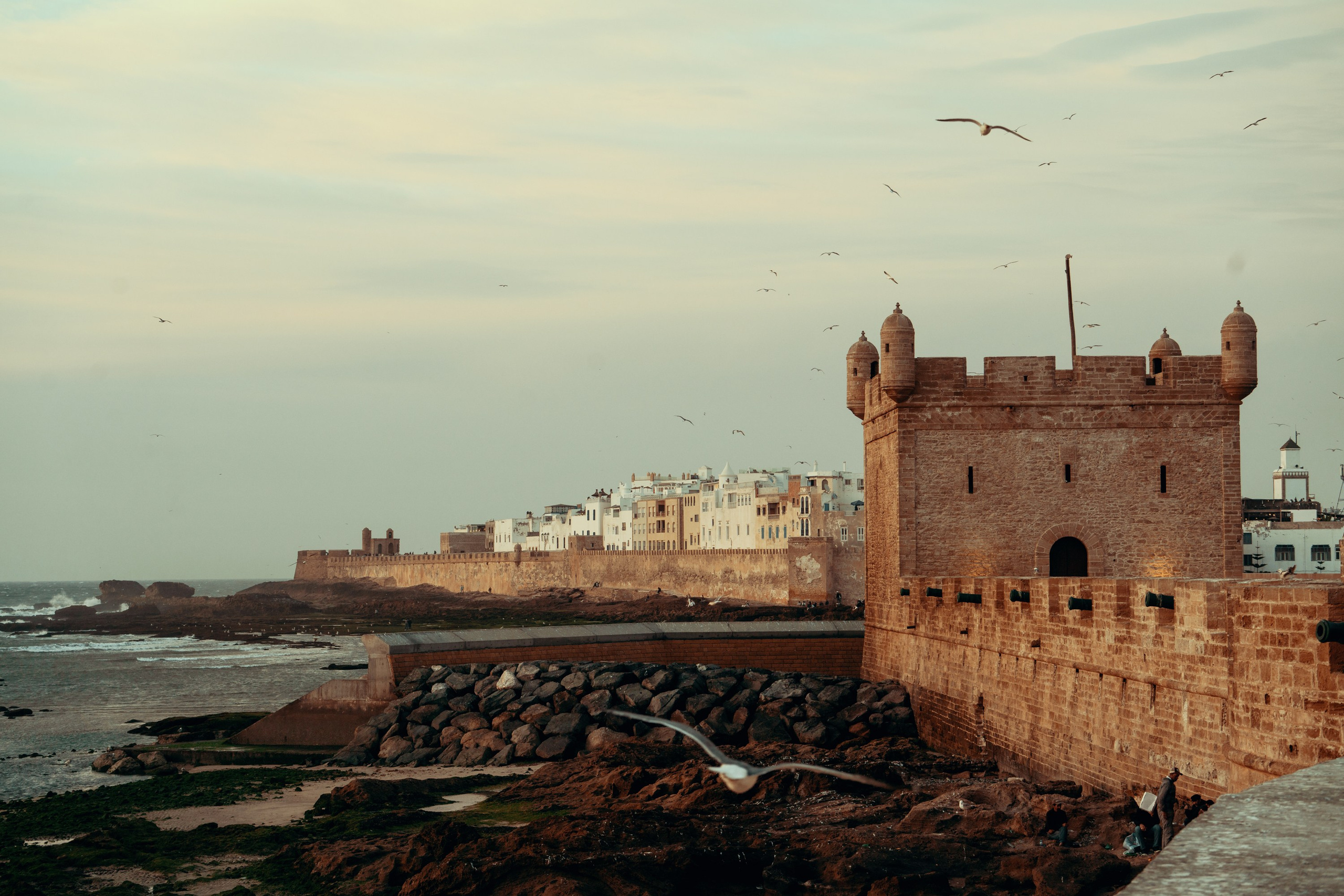 Северная Африка: Тунис, Марокко. Фотограф в Хабаровске. Фотография за 24 часа