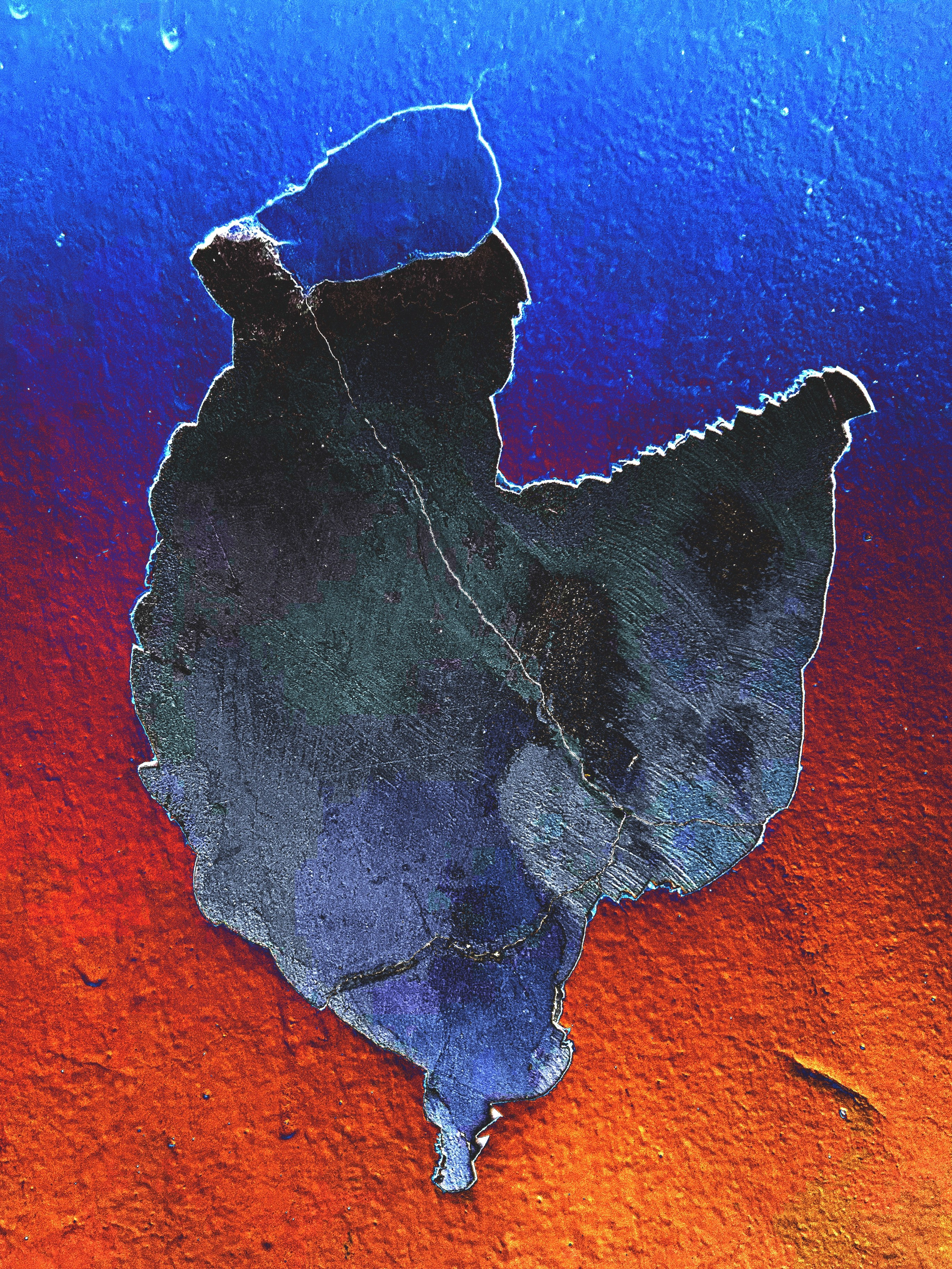 «Вижу». Ольга Пилант. АРТ, бэкстейдж, свадебная и семейная фотография, городской портрет, интерьерная фотография