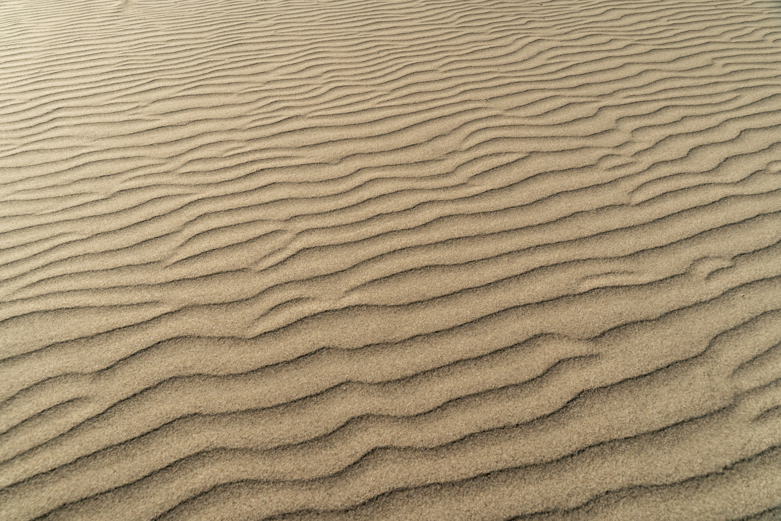 фотостудия Анталья, ретушь фото Анталья, печать фото Анталья, фотокниги Анталья, фотоальбомы Анталья, фото на документы Анталья, фото на свадьбу Анталья, фото на крещение Анталья, фото на день рождения Анталья, фото на выпускной Анталья, фотосессия 18+ портрет 