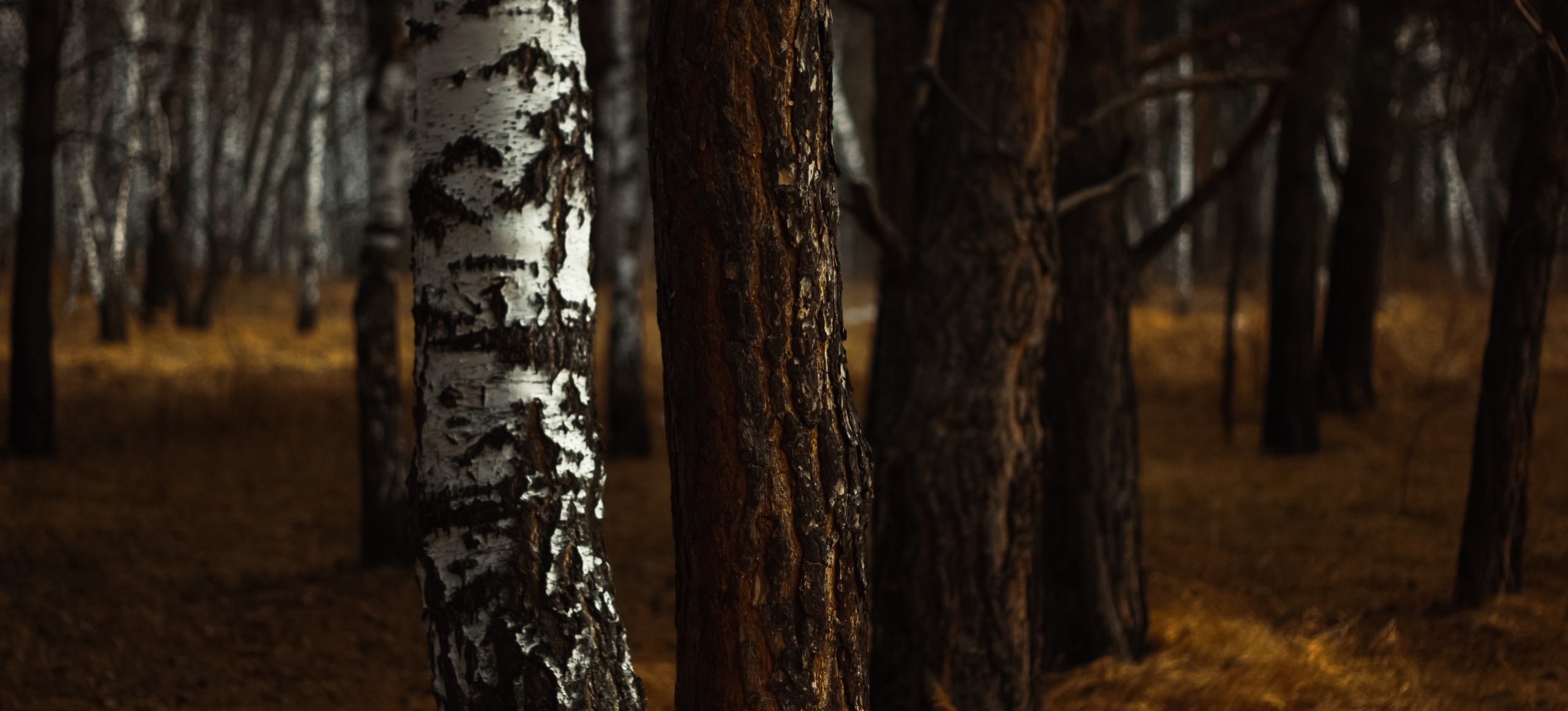 21.03.2025 | Сосновоборск. Kuznetsov | Фотограф в Красноярске