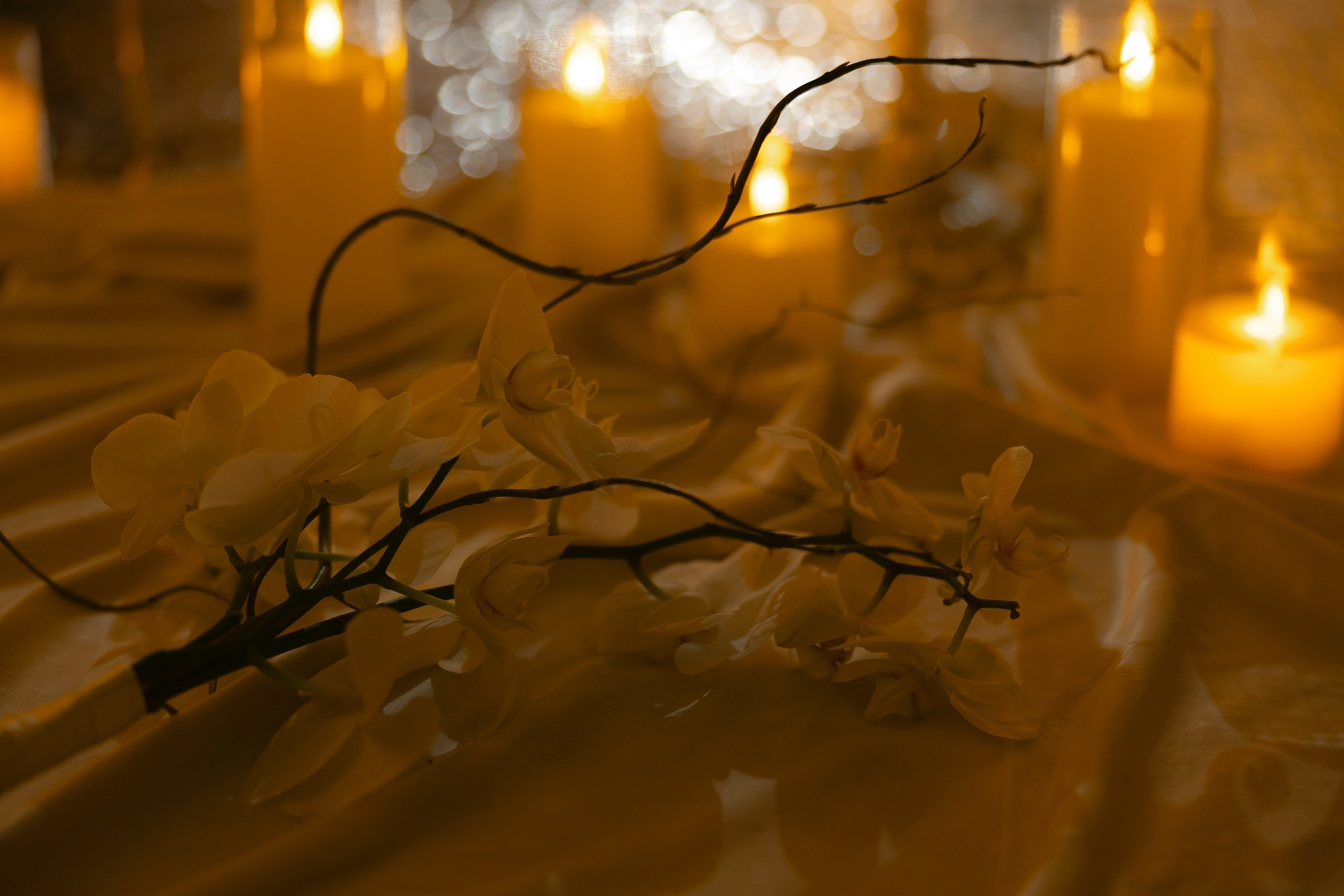 Снежана & Николай. Yura Rush Свадебный фотограф Тюмень