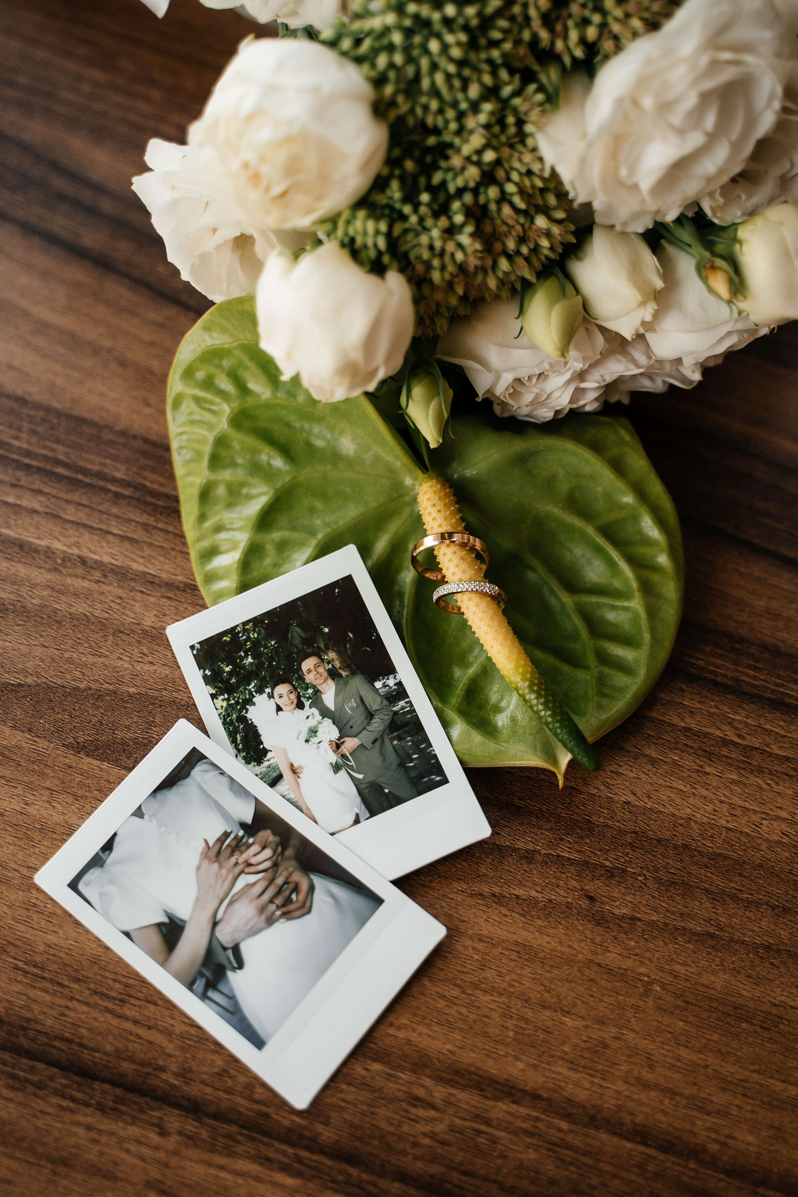 Саша и Вика — любовь на оливковом. Свадебный и семейный фотограф