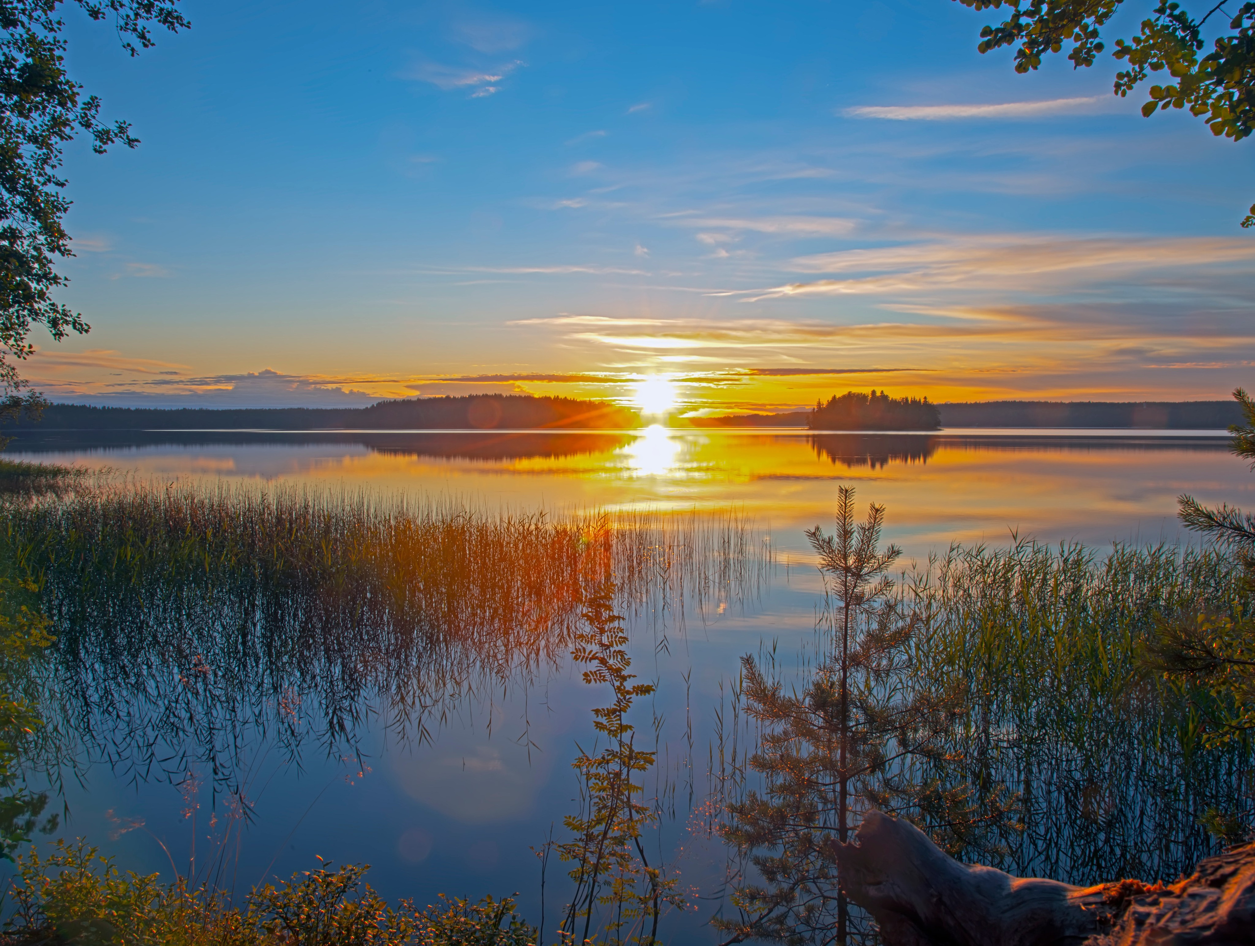 LANDSCAPE. From the past to the future of aviation through photography
