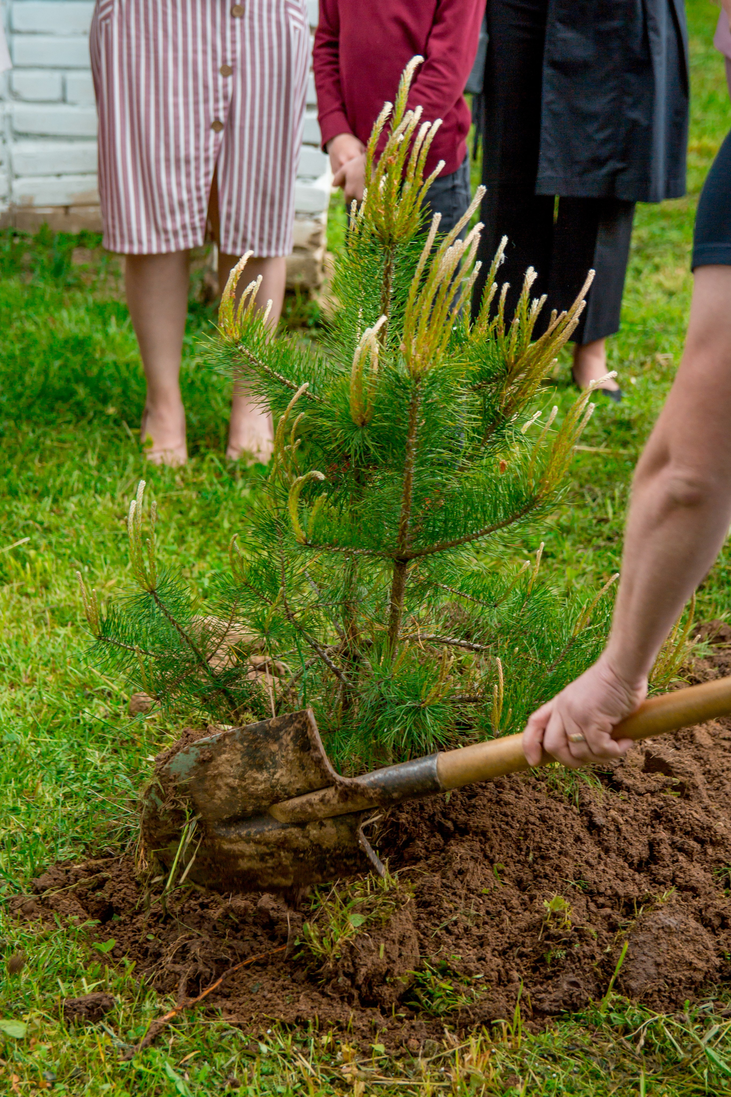 Съемки утренников. Выпускные альбомы в Обнинске