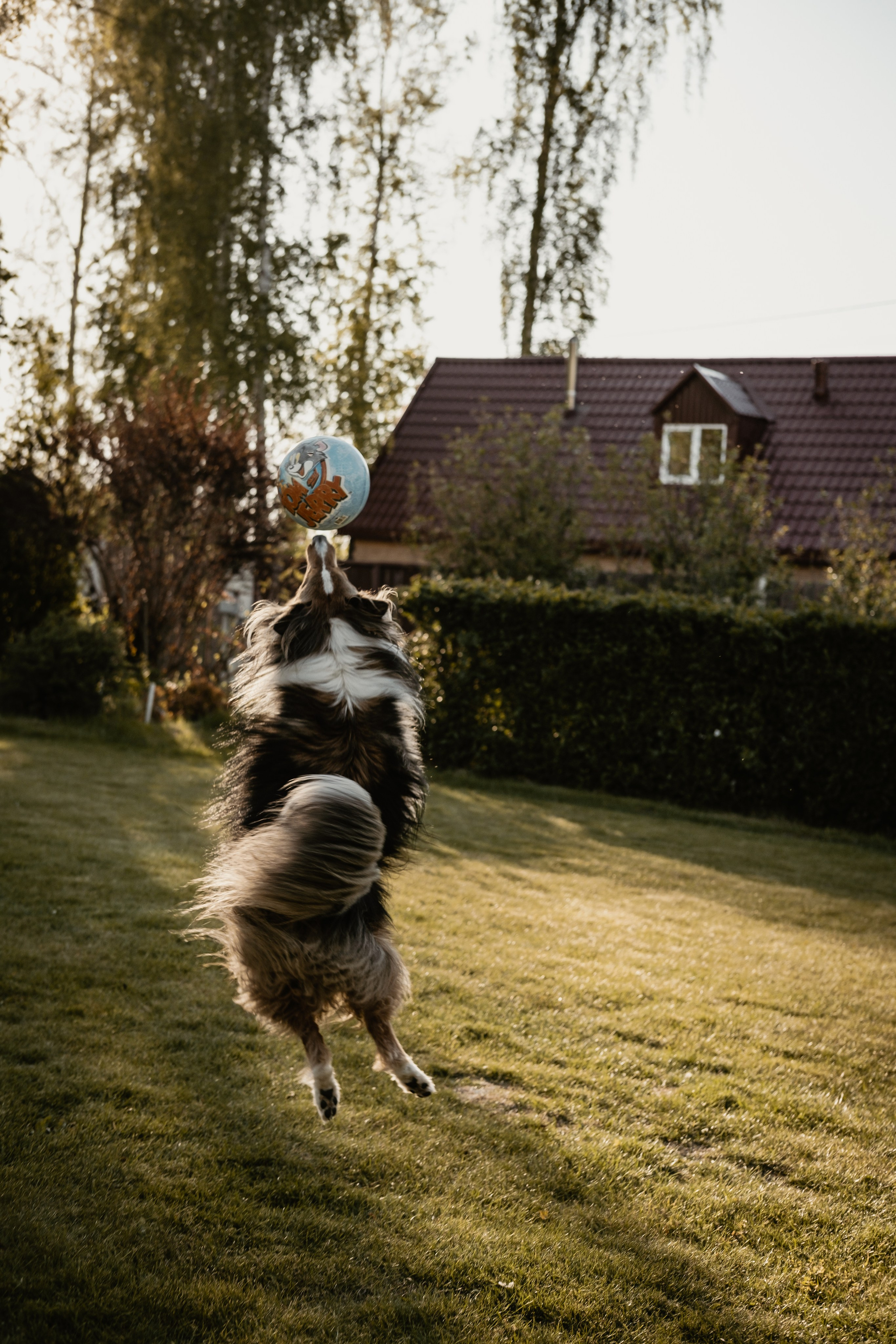 1. Свадебный фотограф Челябинск