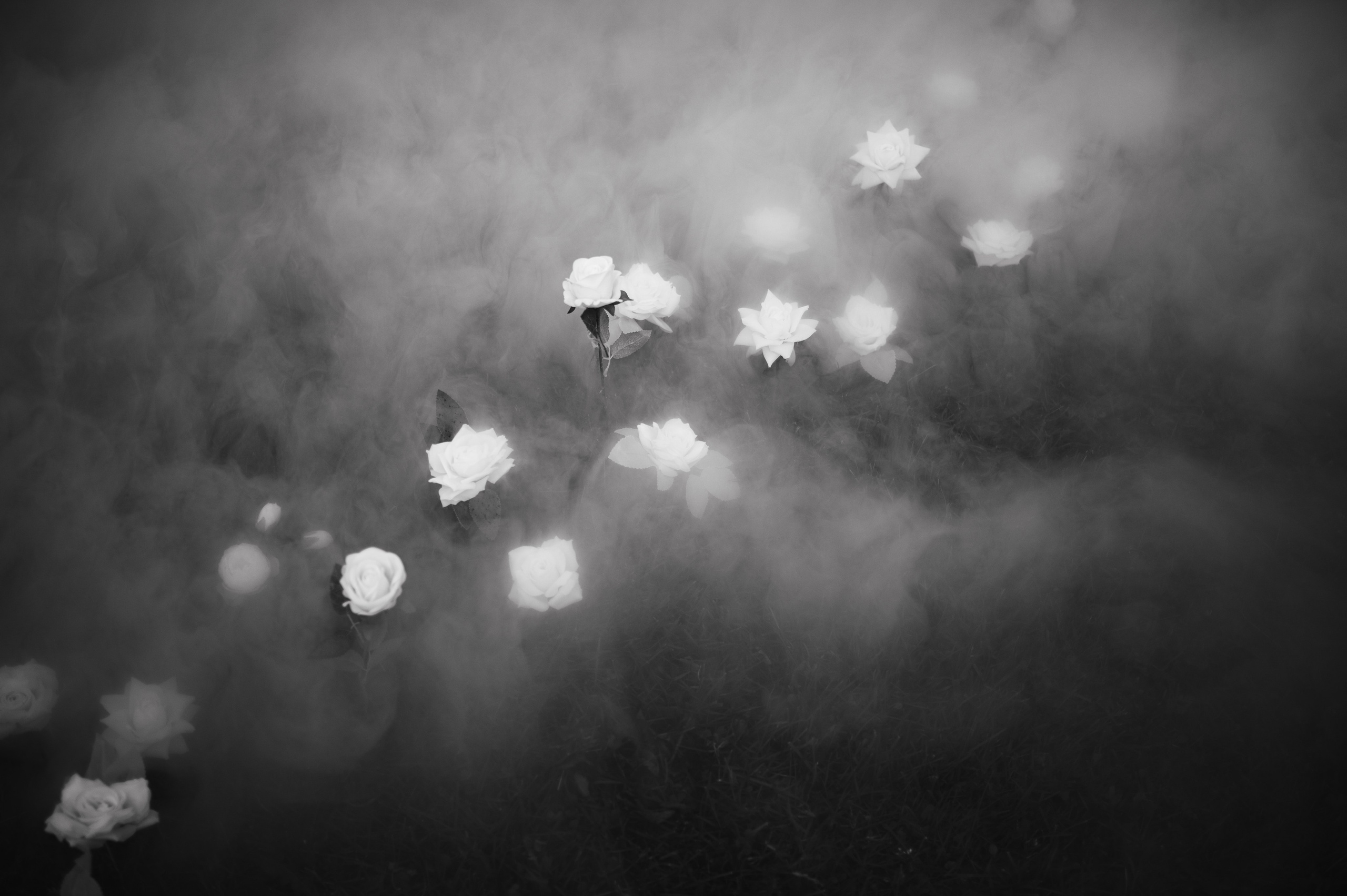 Свадьба Алины и Дани в Санкт-Петербурге. Свадебный и индивидуальный фотограф Никита Роут | Москва