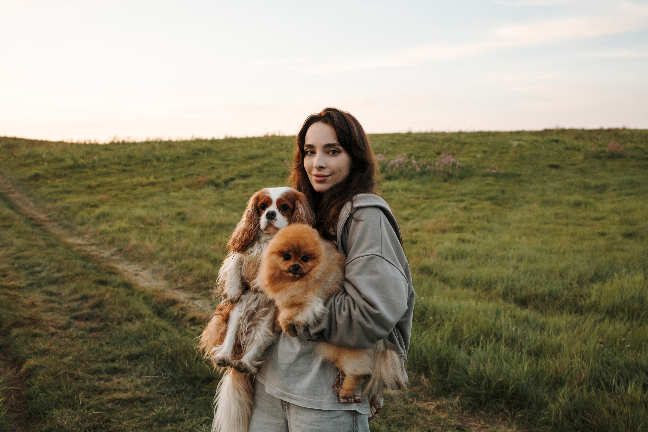 На закате Катерина, Луна и Рикки. Фотограф-анималист в Санкт-Петеребурге Титова Алиса