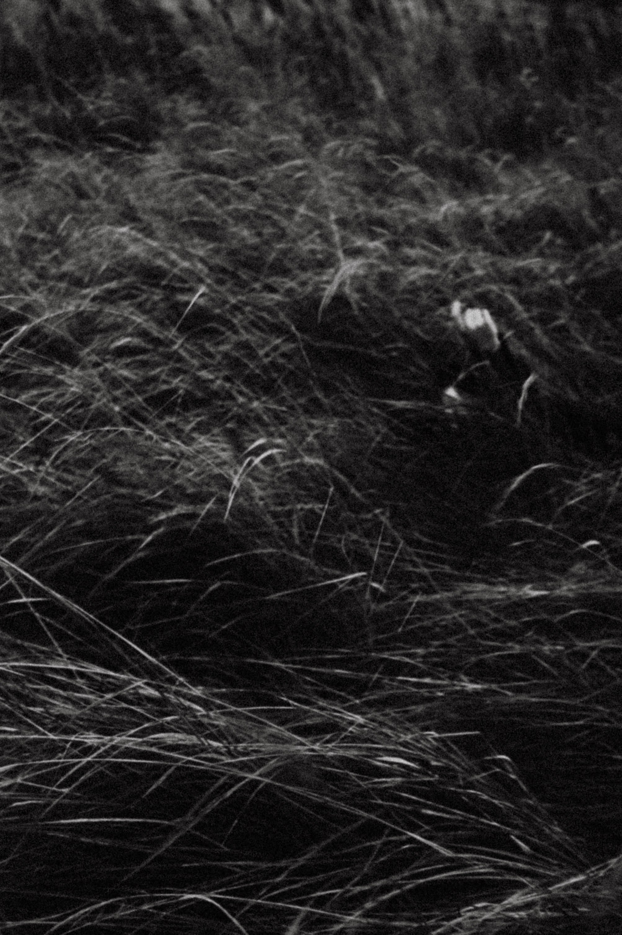 Хтонь дождливая. Фотограф в Нижнем Новгороде