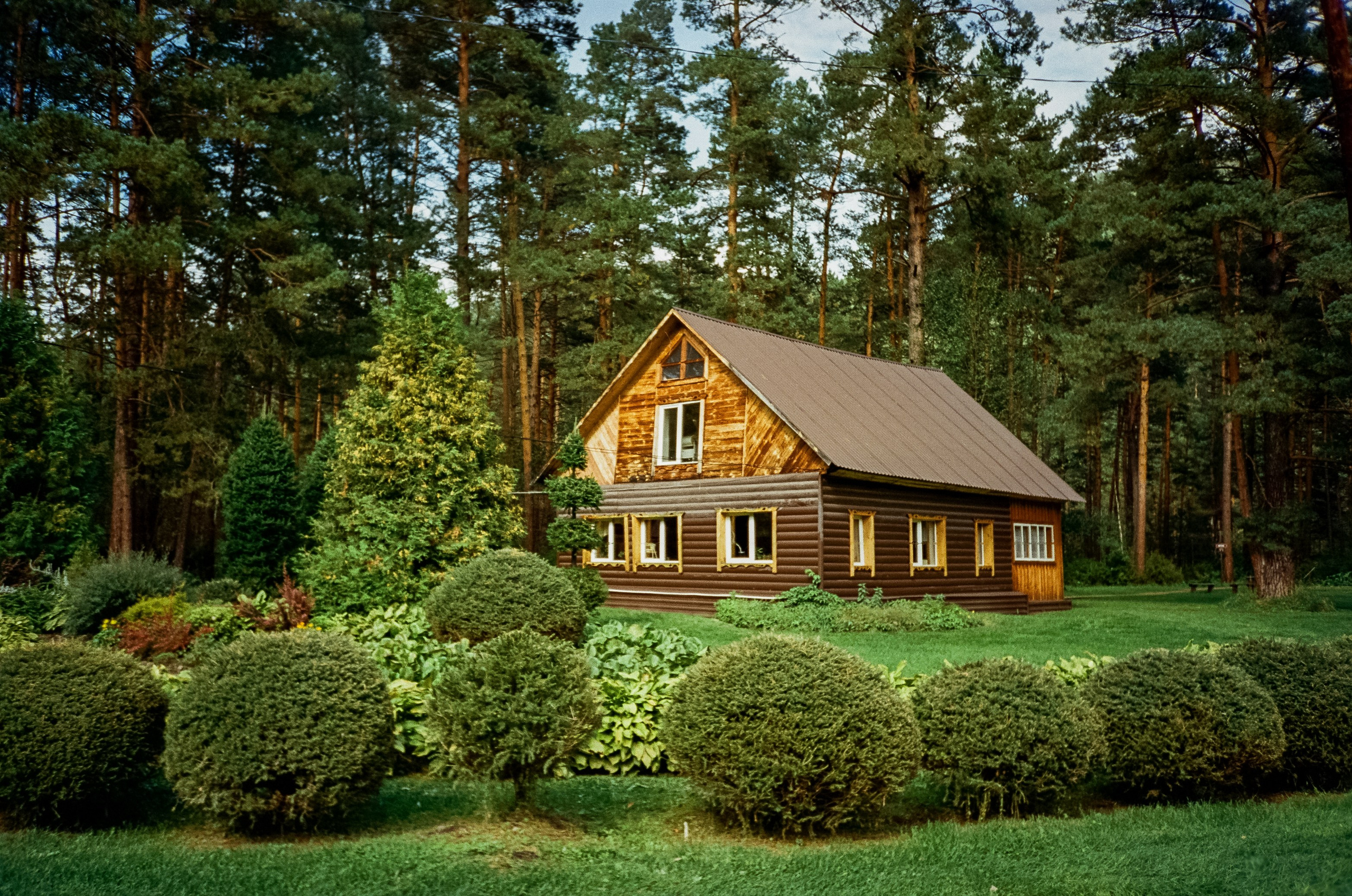 Ботанический сад и река Сема. Фотограф-документалист Мария Осокина