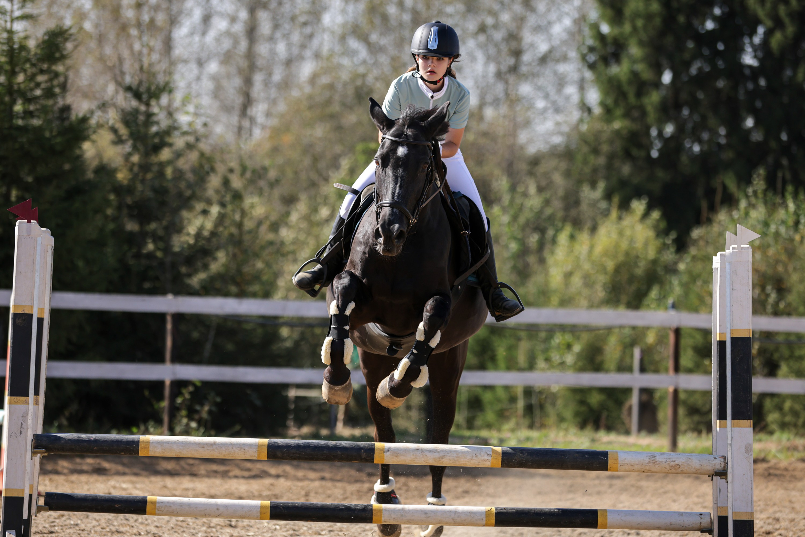 Репортажная съёмка спортивных мероприятий. ESHE_PHOTO Фотограф анималист в Москве и Московской области