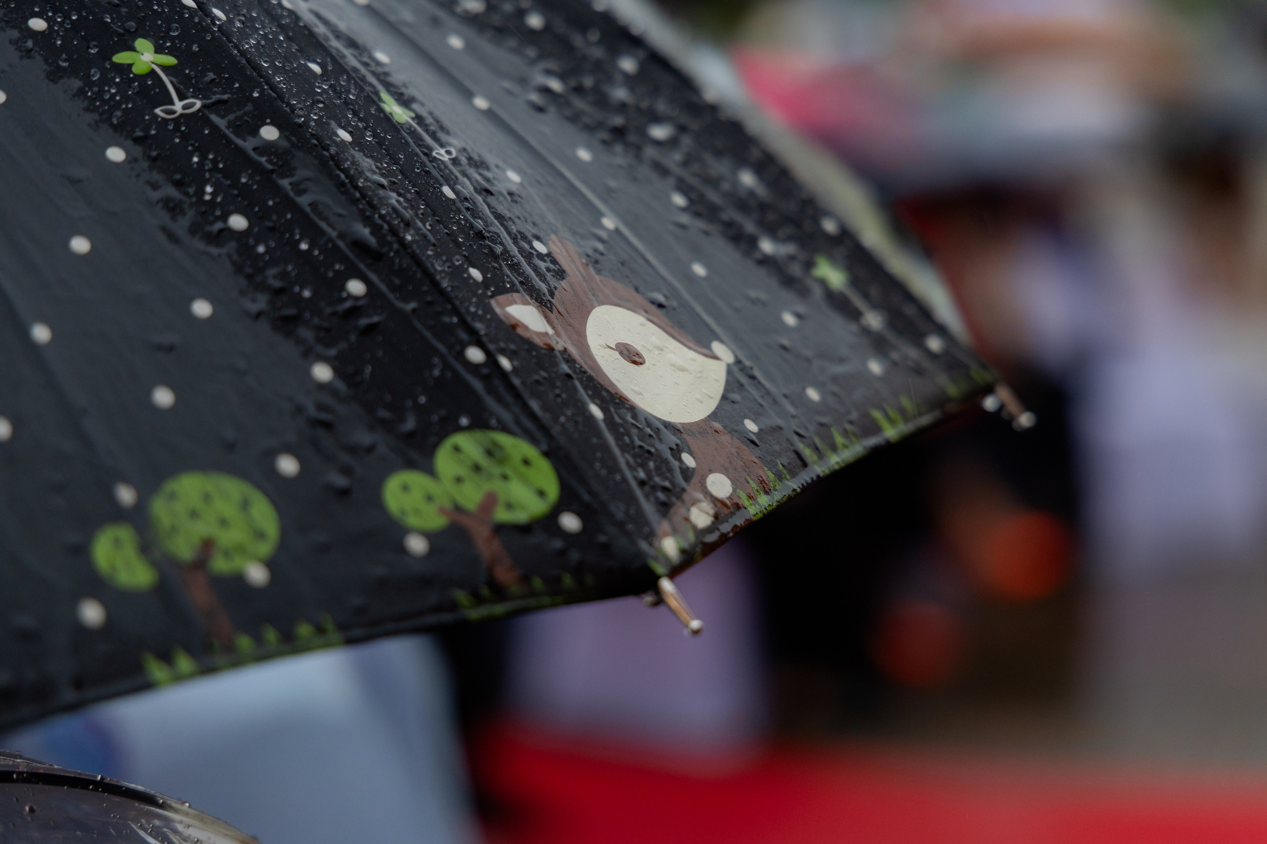 Школьный выпускной 2025 год в Минске, Беларуси. Свадебный фотограф в Минске/Беларуси Сергей Спиридонов