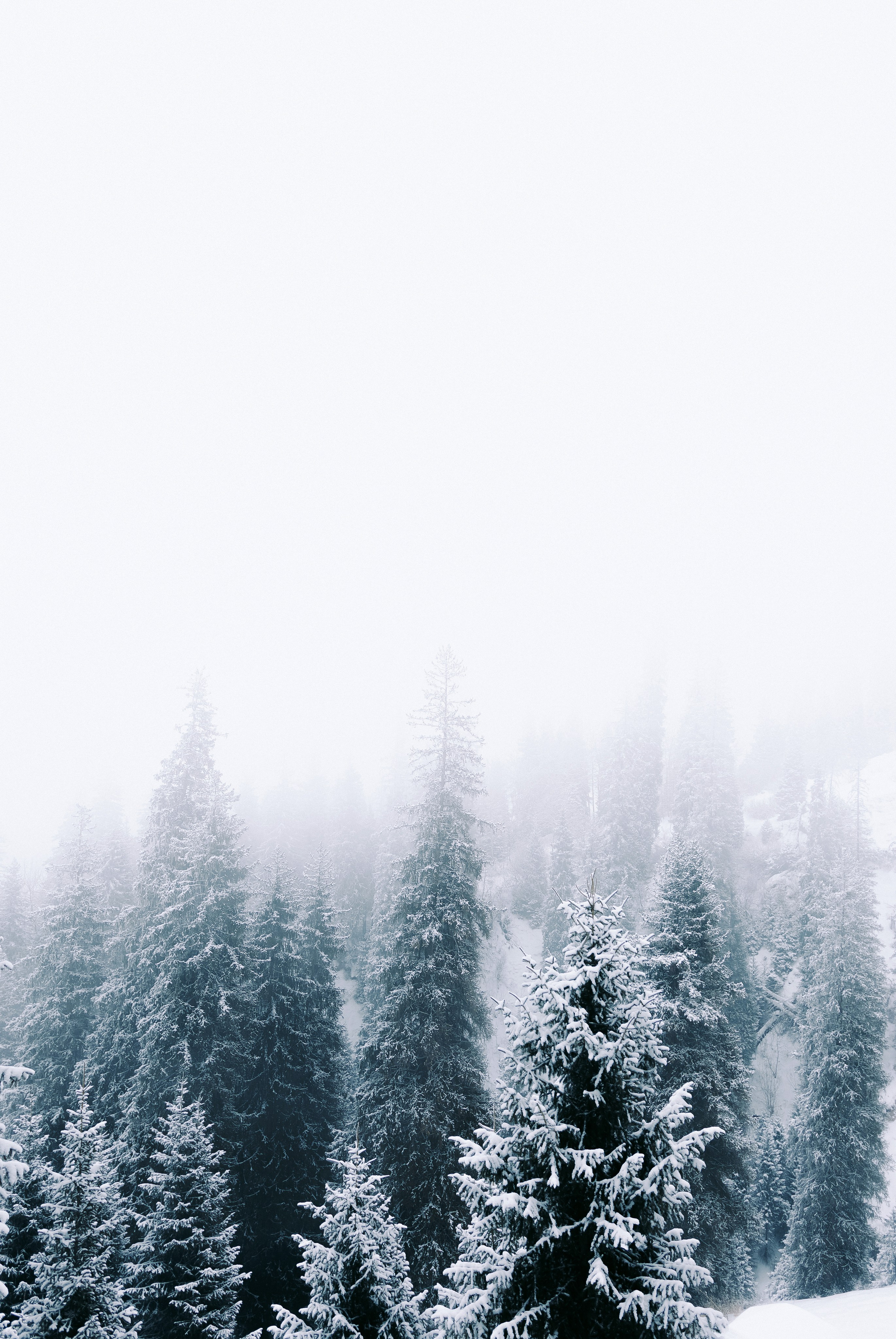 Жизнь. Фотограф Алматы | Весь мир — Никита Колодин