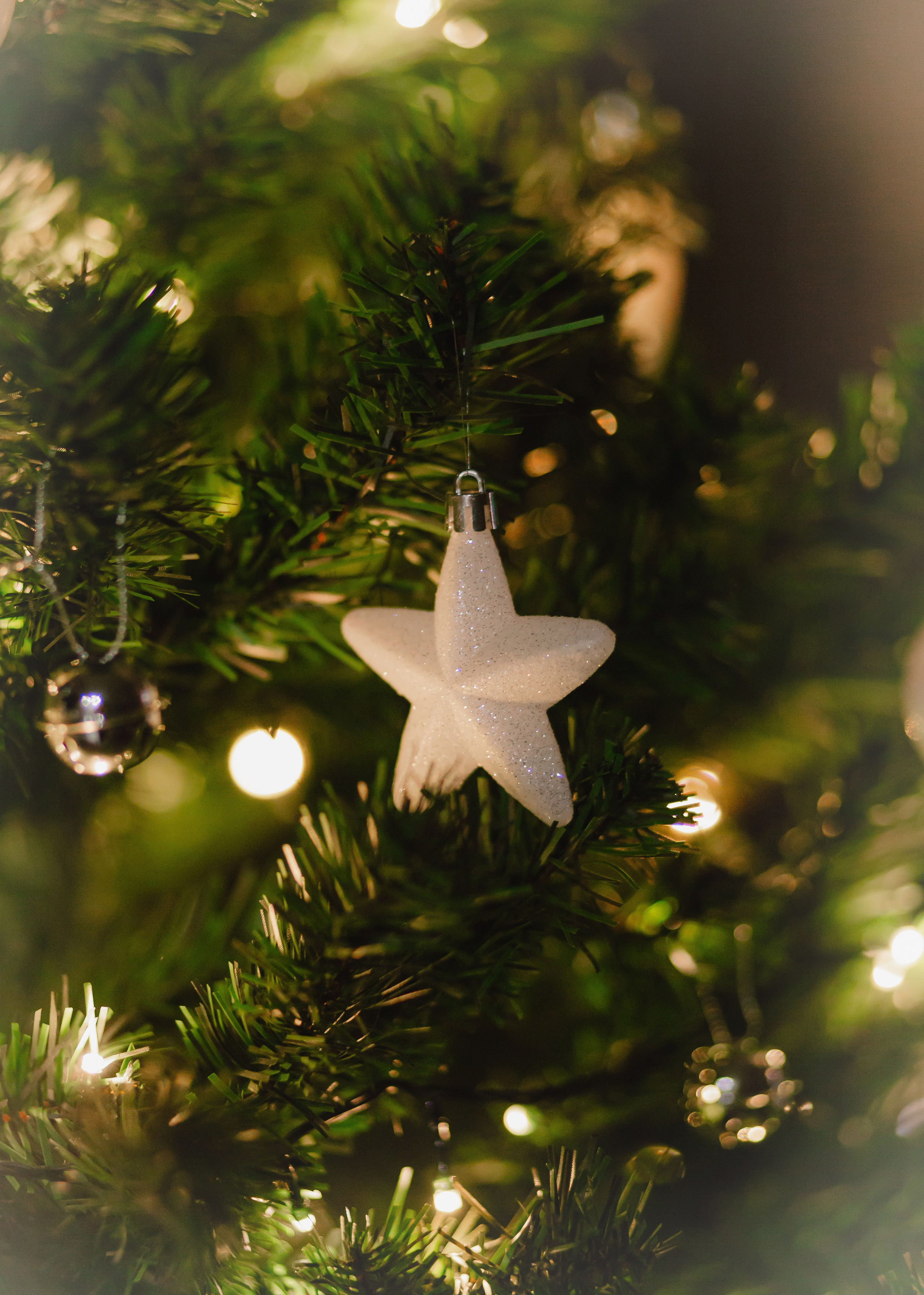 Pijama Party. Barbara Isaeva