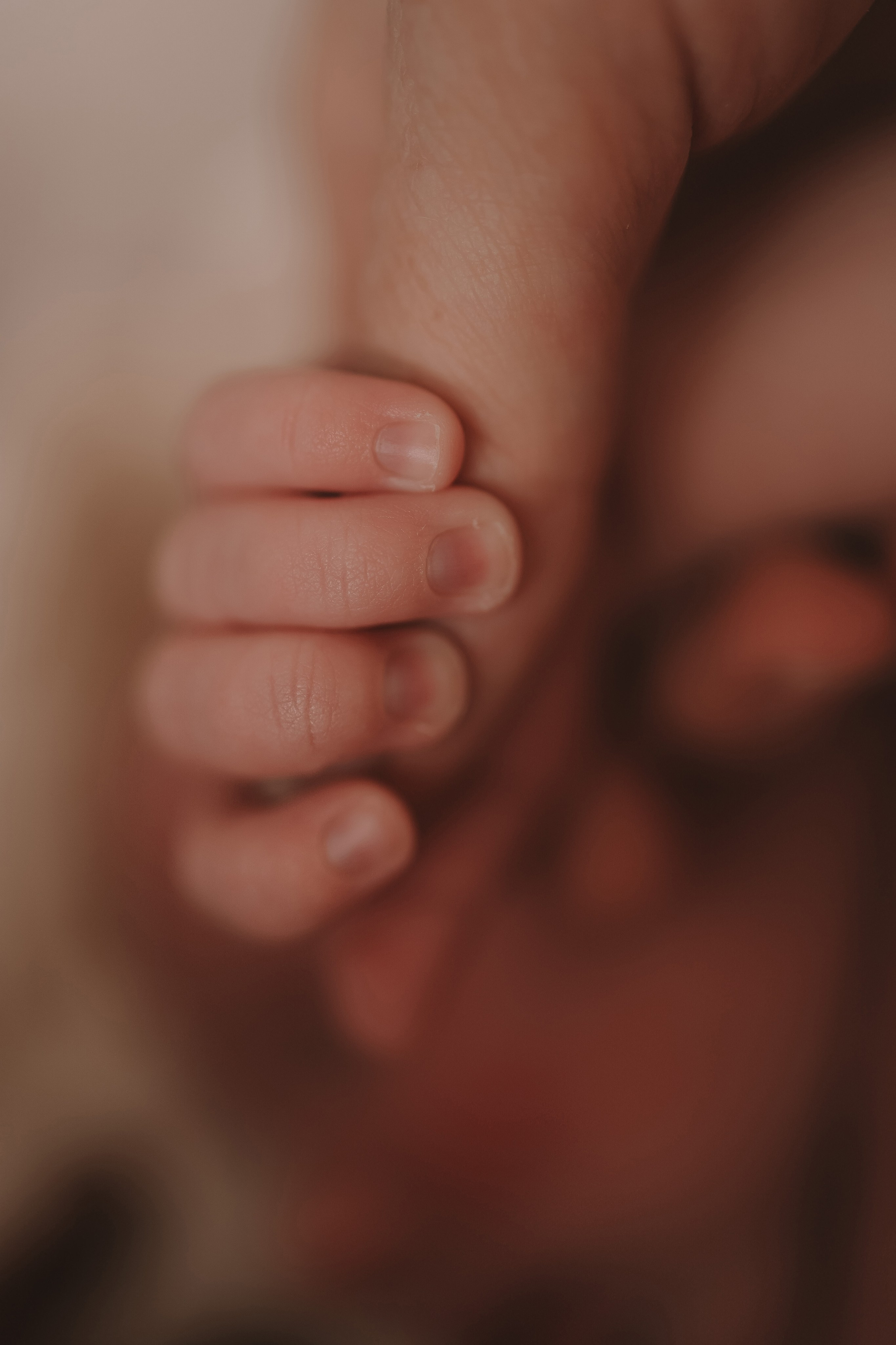 Ефим, 2 недели. Семейный фотограф Тюмень, фотограф на роды Салмина Мария