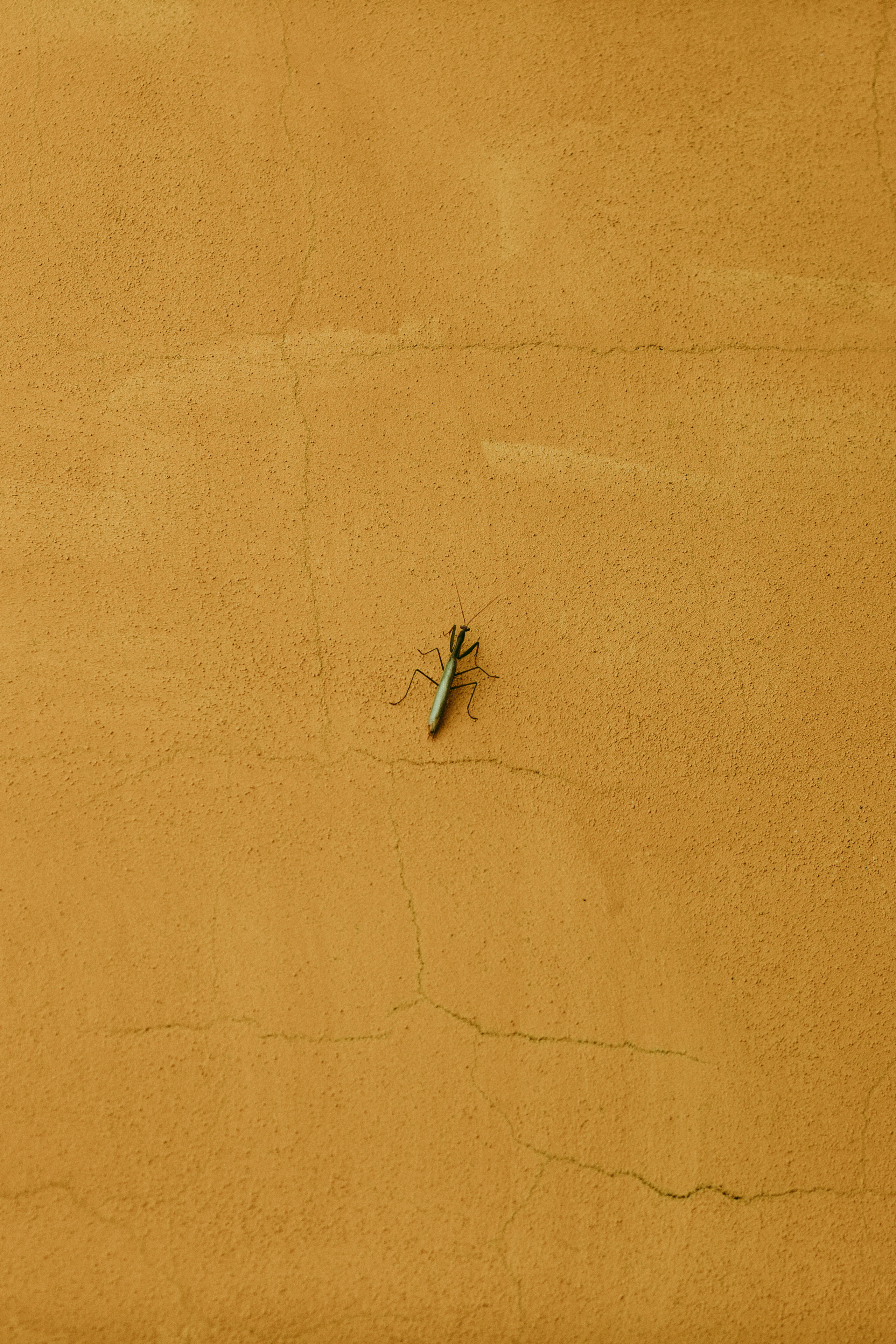 Canonica di Corteranzo. Frantova