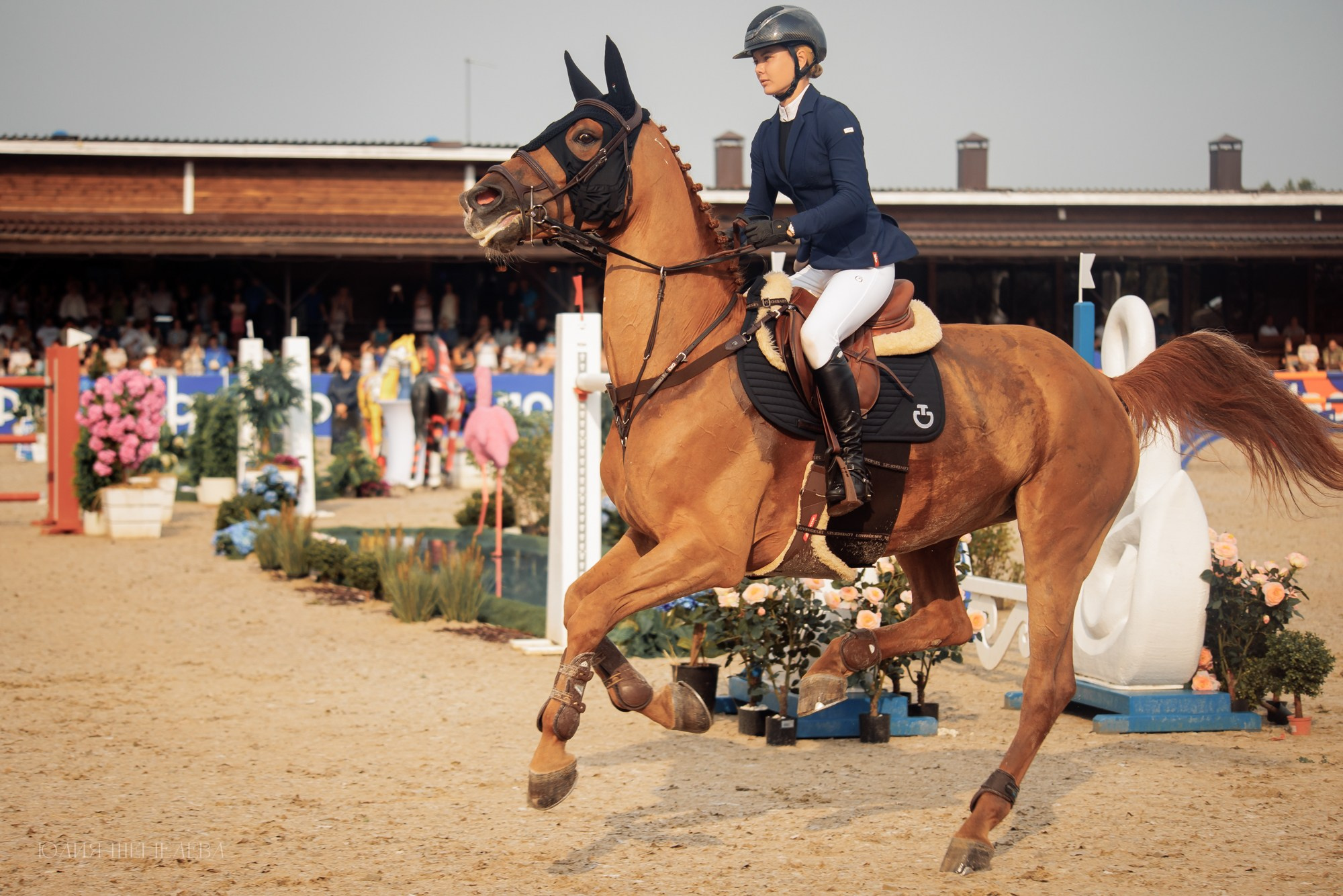 Дерби. Horseka 2024. Детская Конная фотография в Москве Юлия Шепелева