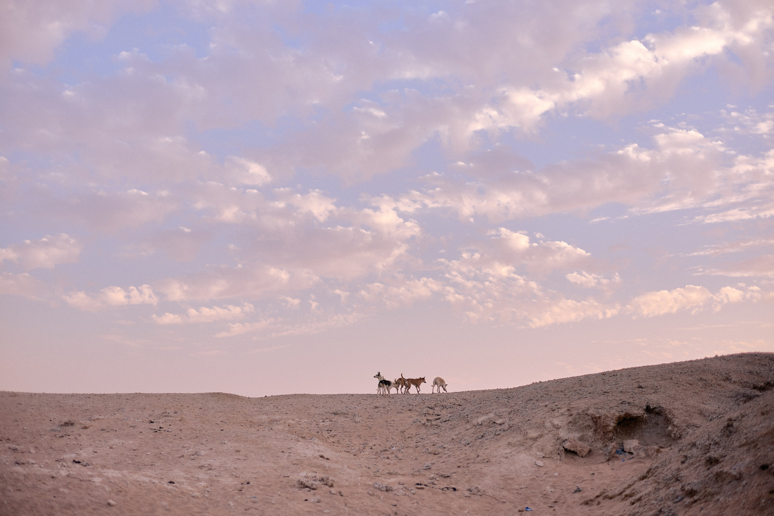 Другое 4. Jorgis — фотограф в Хургаде / обучение фотографии