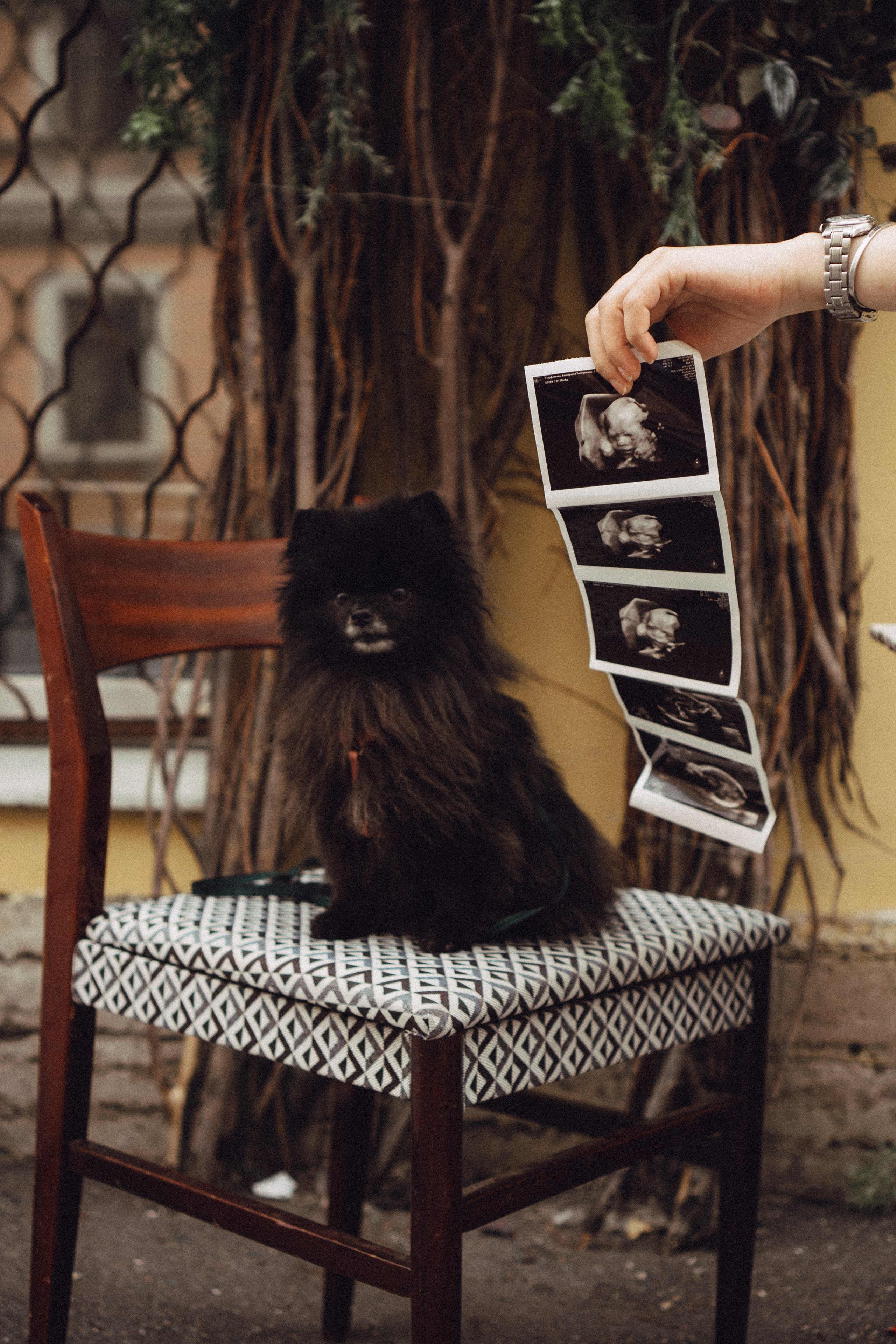 Беременность (только часть фото по желанию клиентов могу показать)). Профессиональный фотограф, Санкт-Петербург — Виктория Богомолова