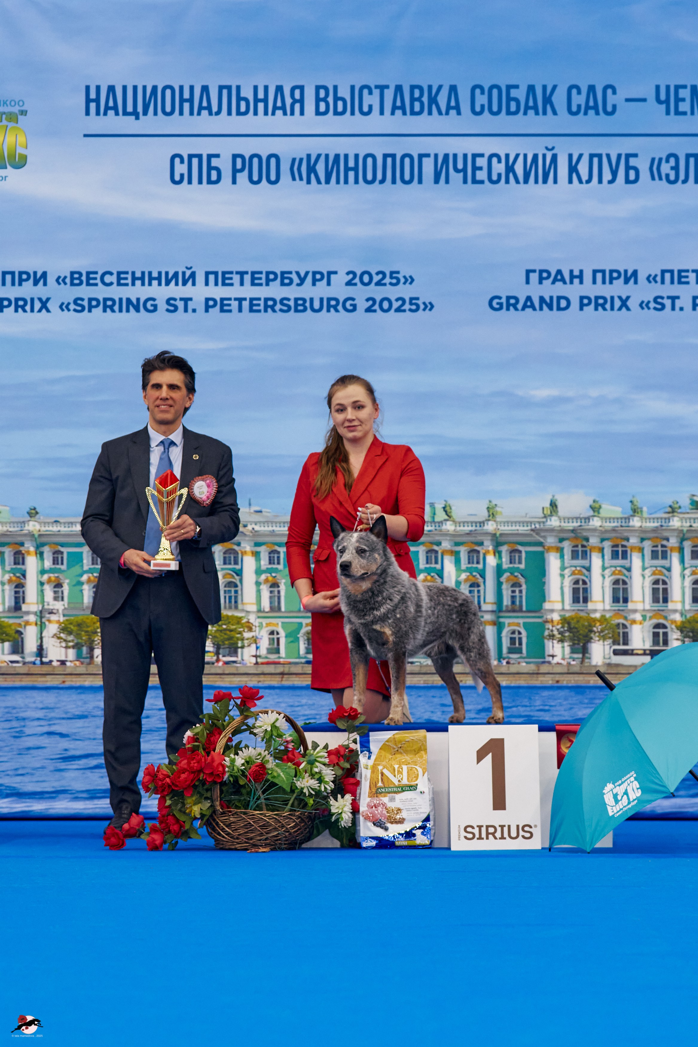 27.04.2025 | "Петербург-Элита 2025" & «КУБОК «ЭЛИТЫ»-2025»