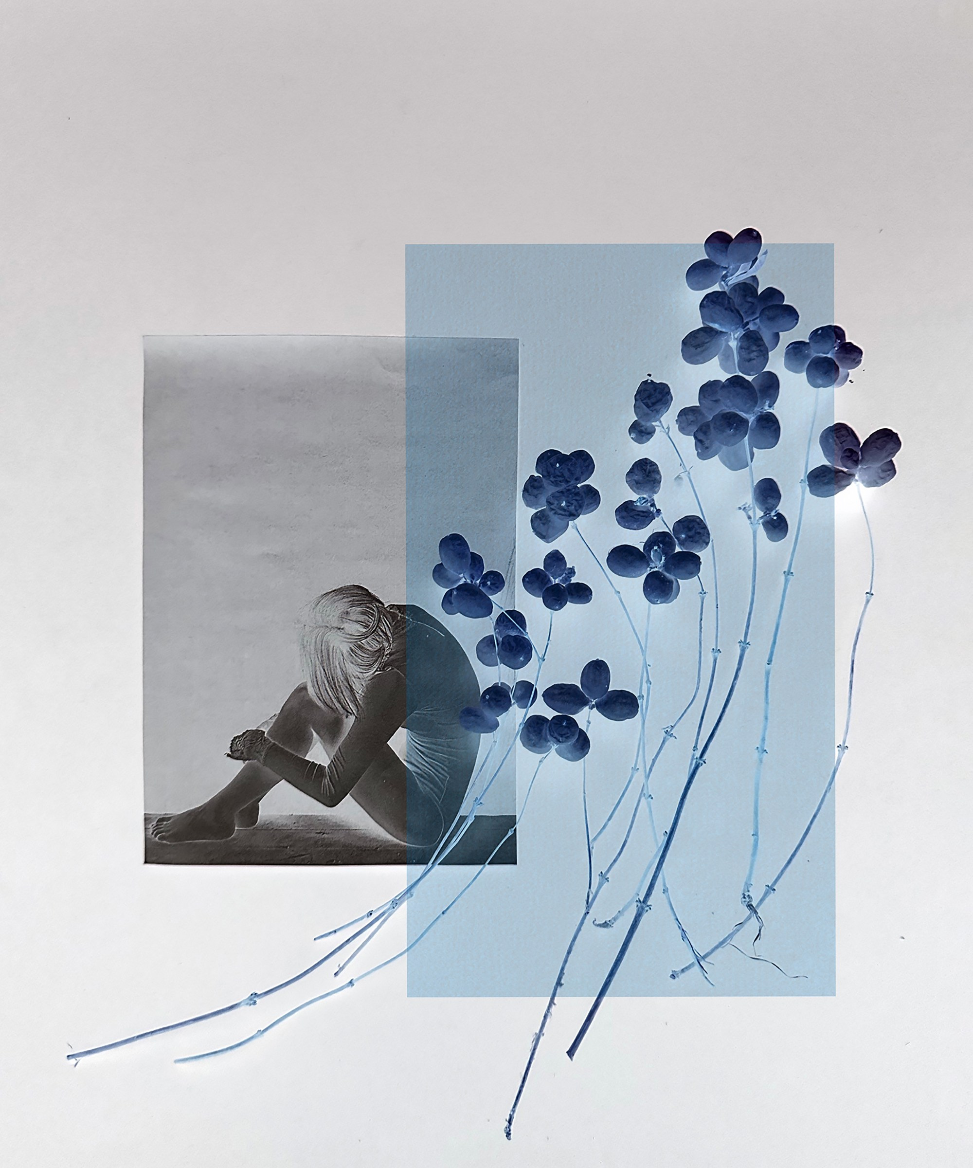 Портфолио. Визуальный художник Ольга Кутерина