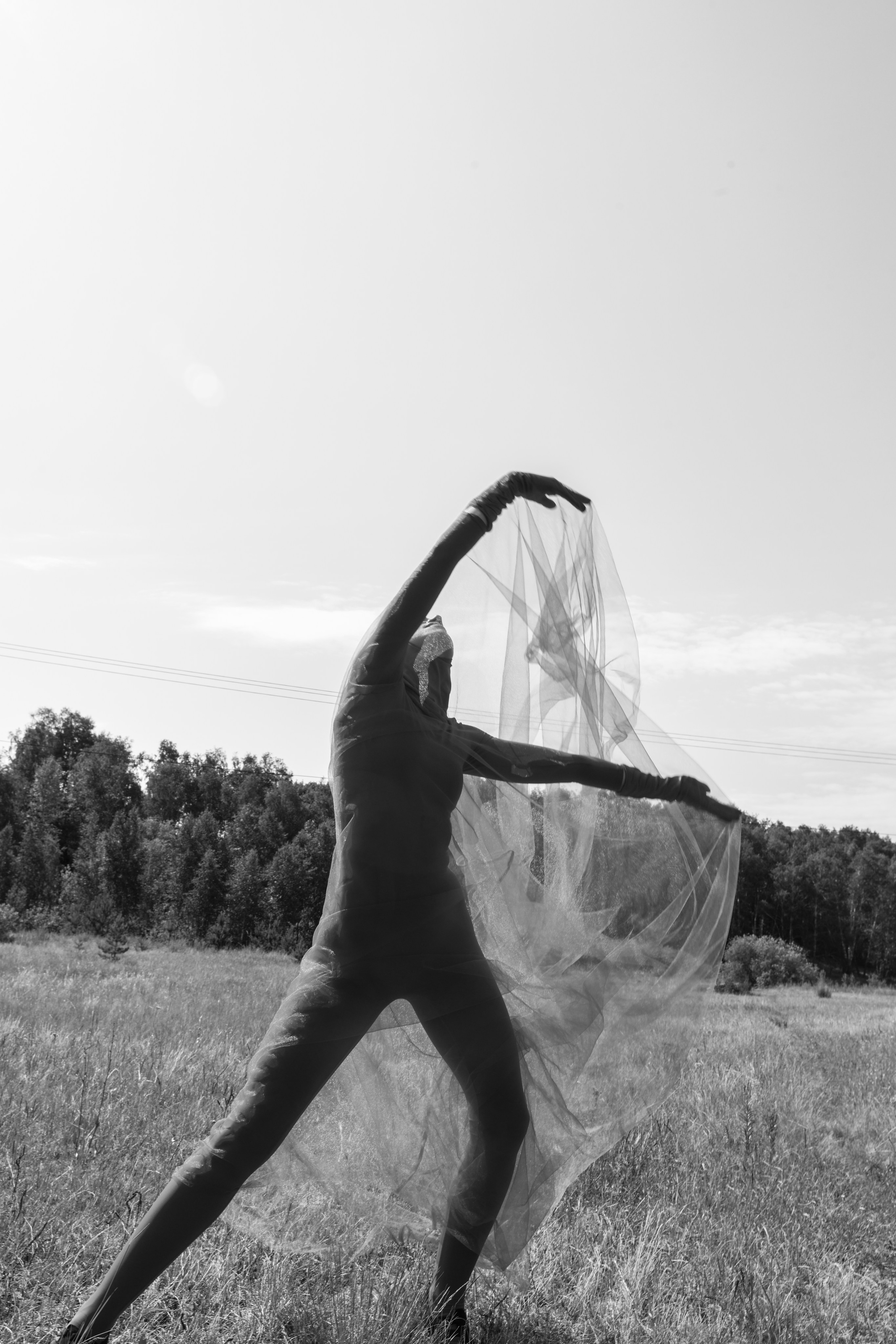TERRA NOSTRA. Yulia Yurchevskaya | Art Director & Visual Visionary