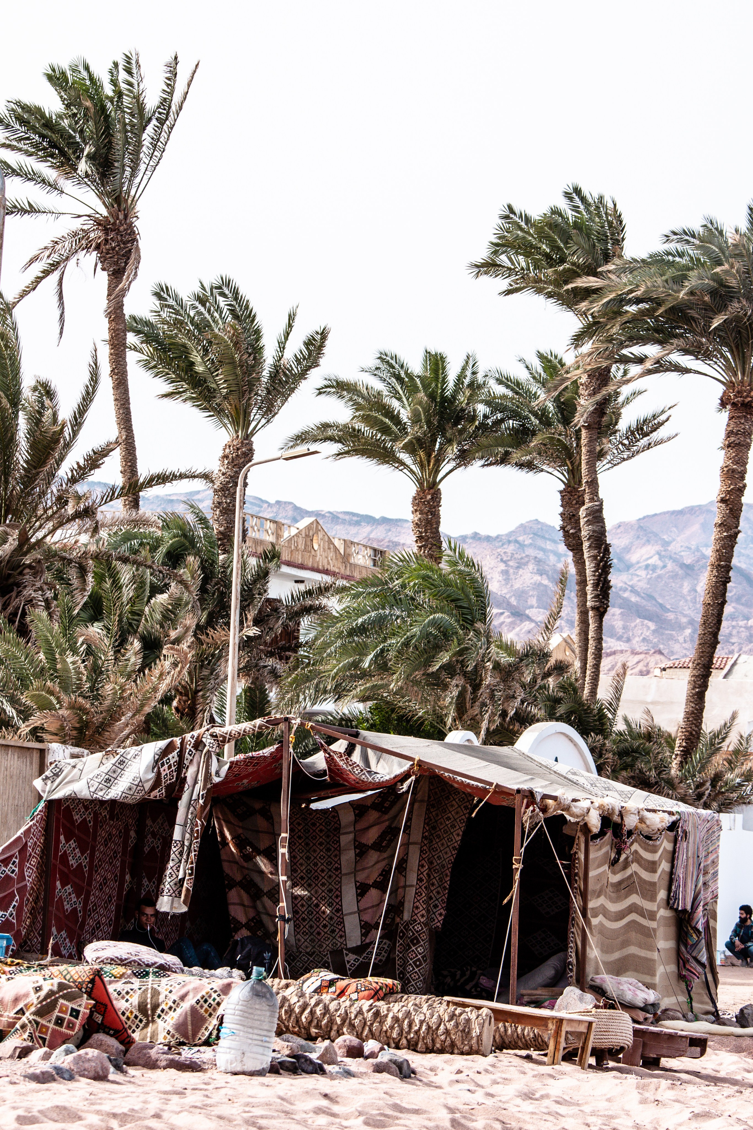 DAHABibi. Дария Галямова — фотограф: открытый, творческий, коммерческий