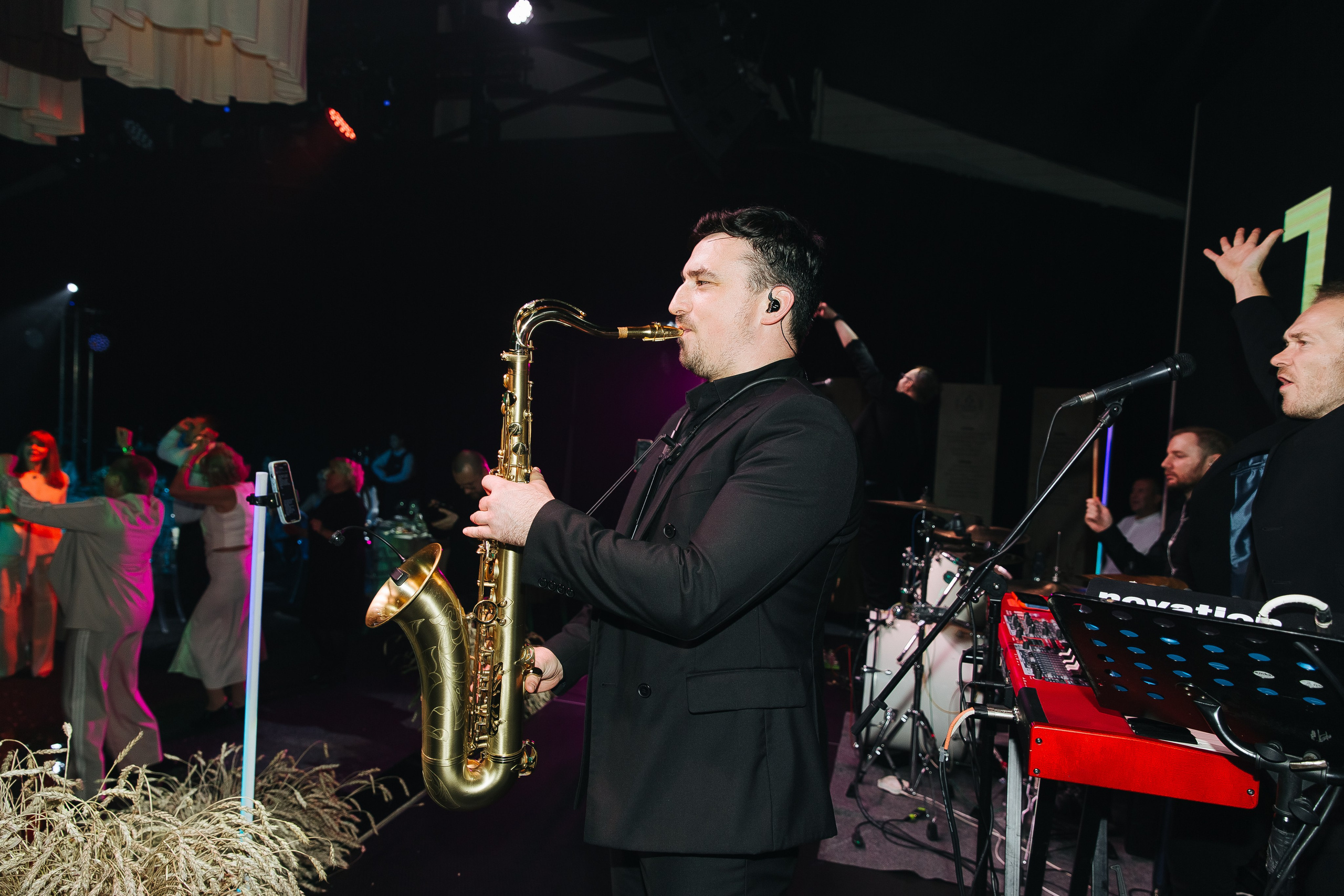 Сосны. Фотограф в Красноярске Любовь Малеева